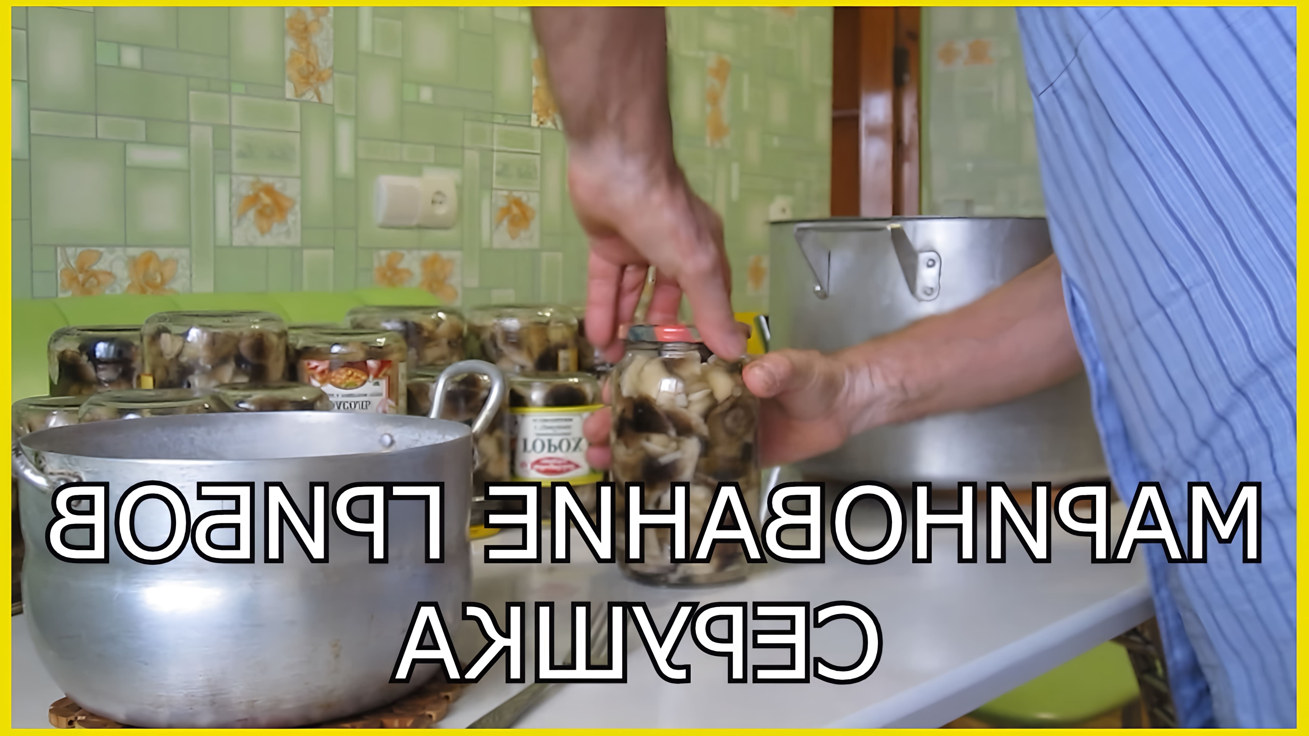 В этом видео рассказывается о процессе консервации грибов серушек