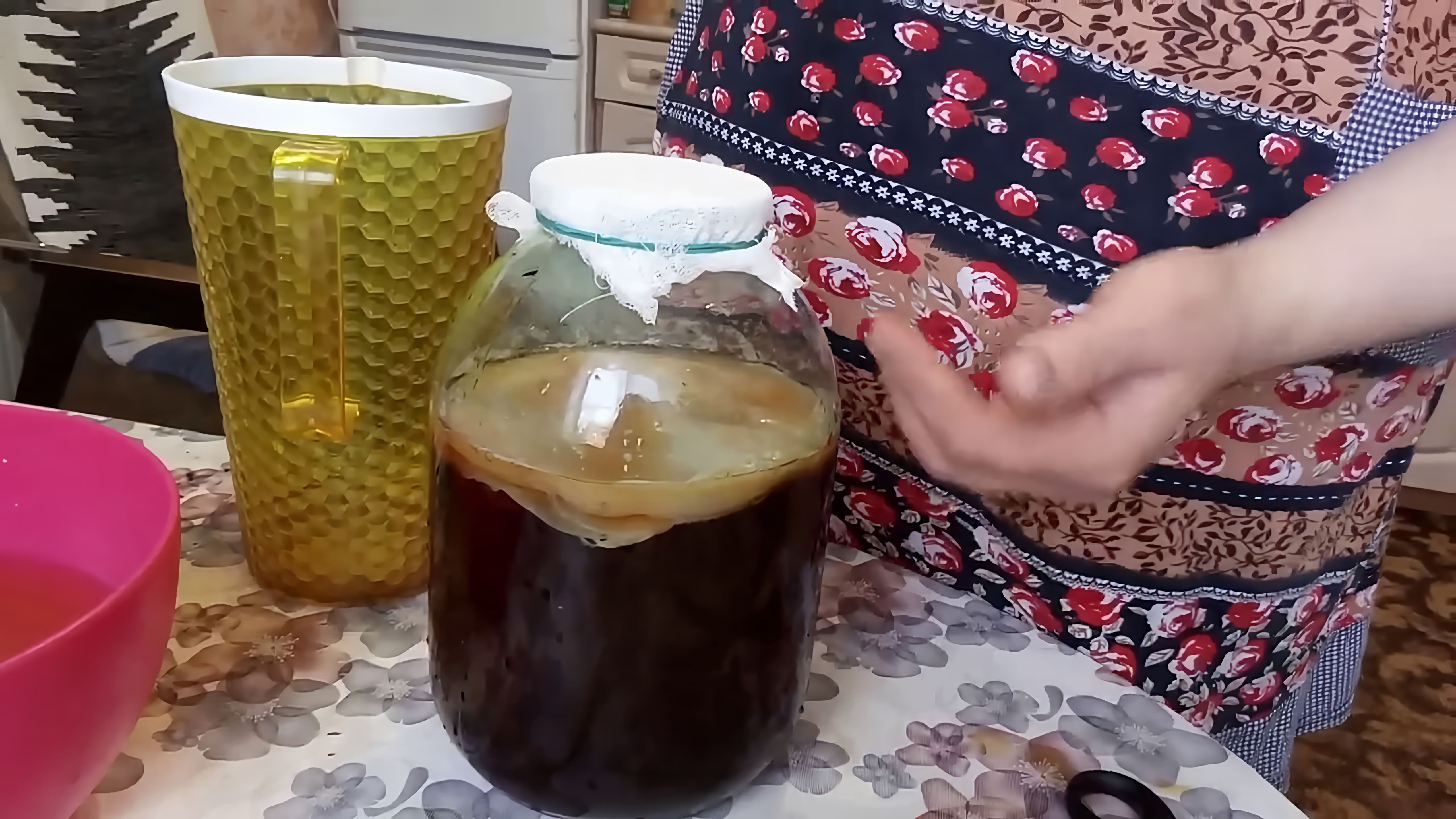 В данном видео рассказывается о том, как ухаживать за чайным грибом