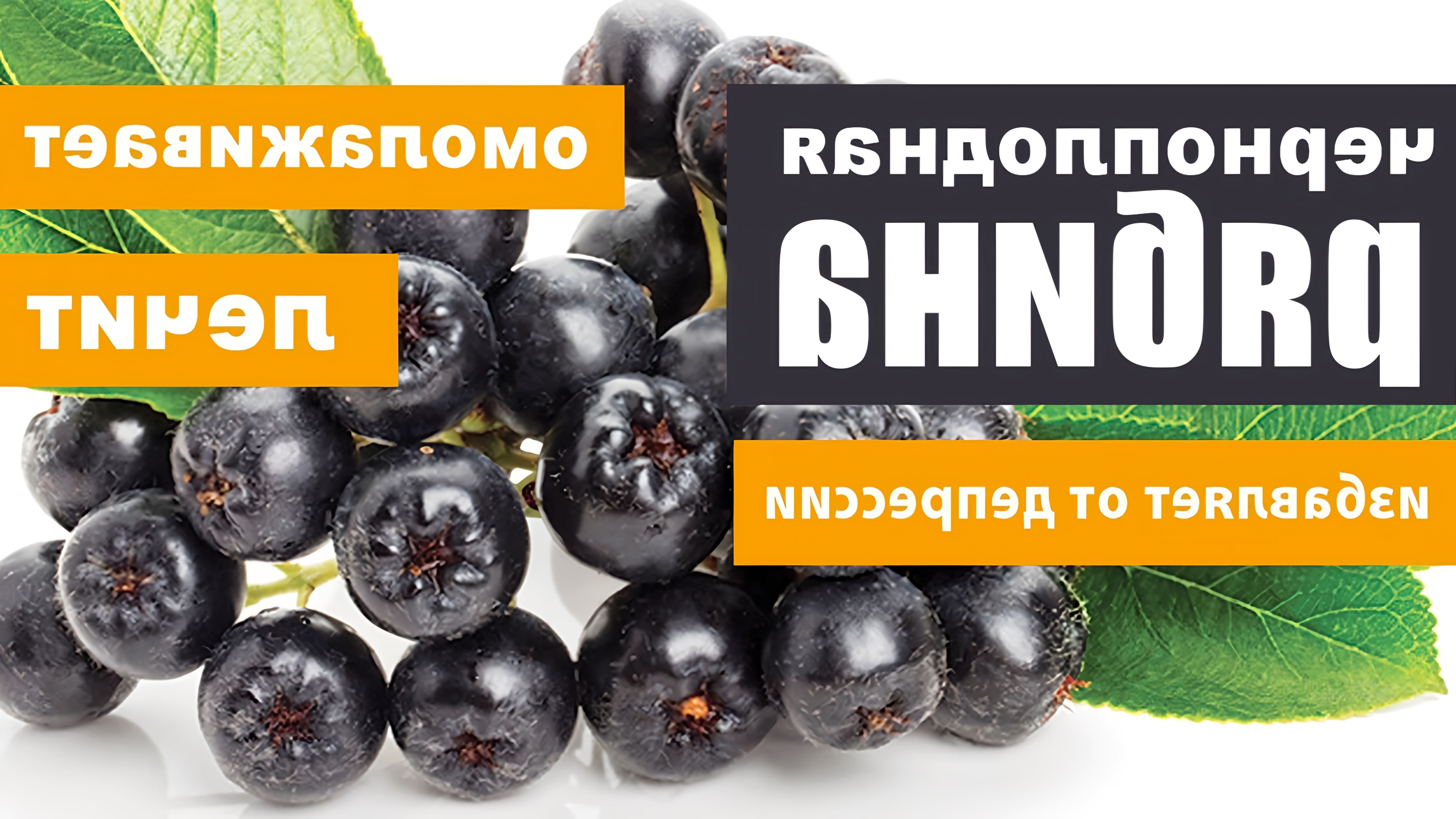Черноплодная рябина, также известная как арония, является высокоценным продуктом питания, богатым витаминами, микроэлементами и пектинами