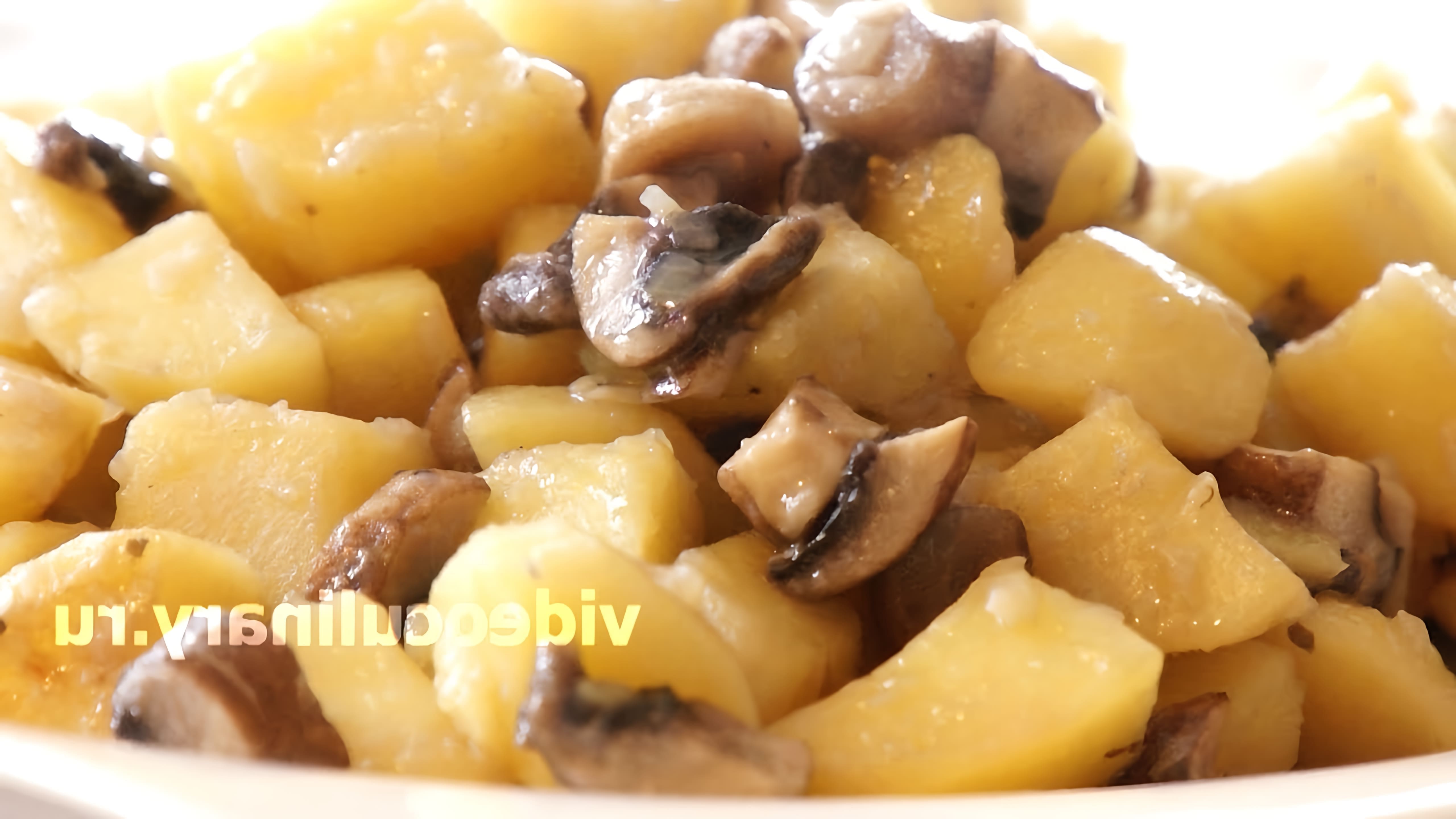 В данном видео демонстрируется рецепт тушёной картошки с грибами