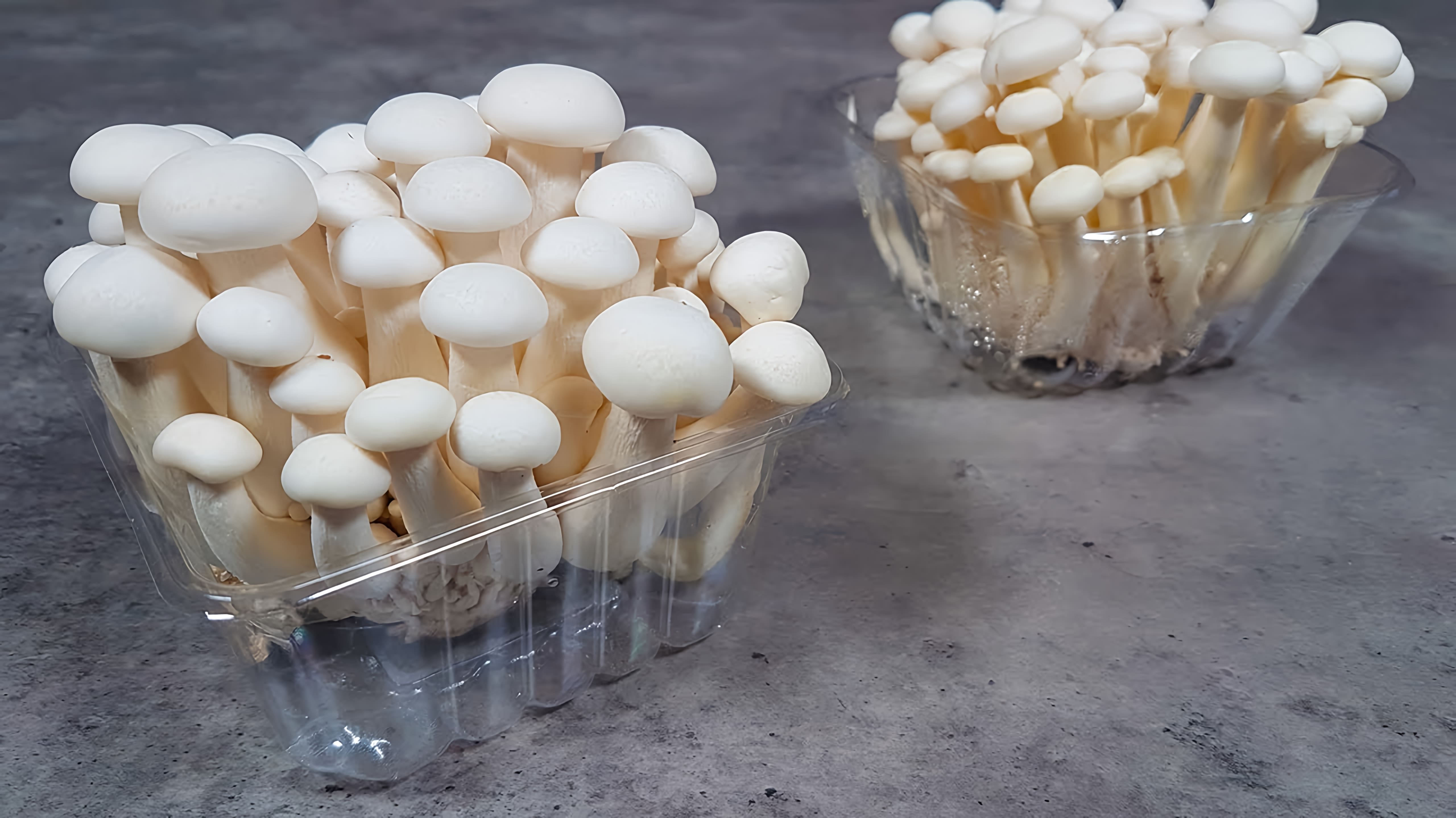В этом видео демонстрируется процесс приготовления грибов шимицу
