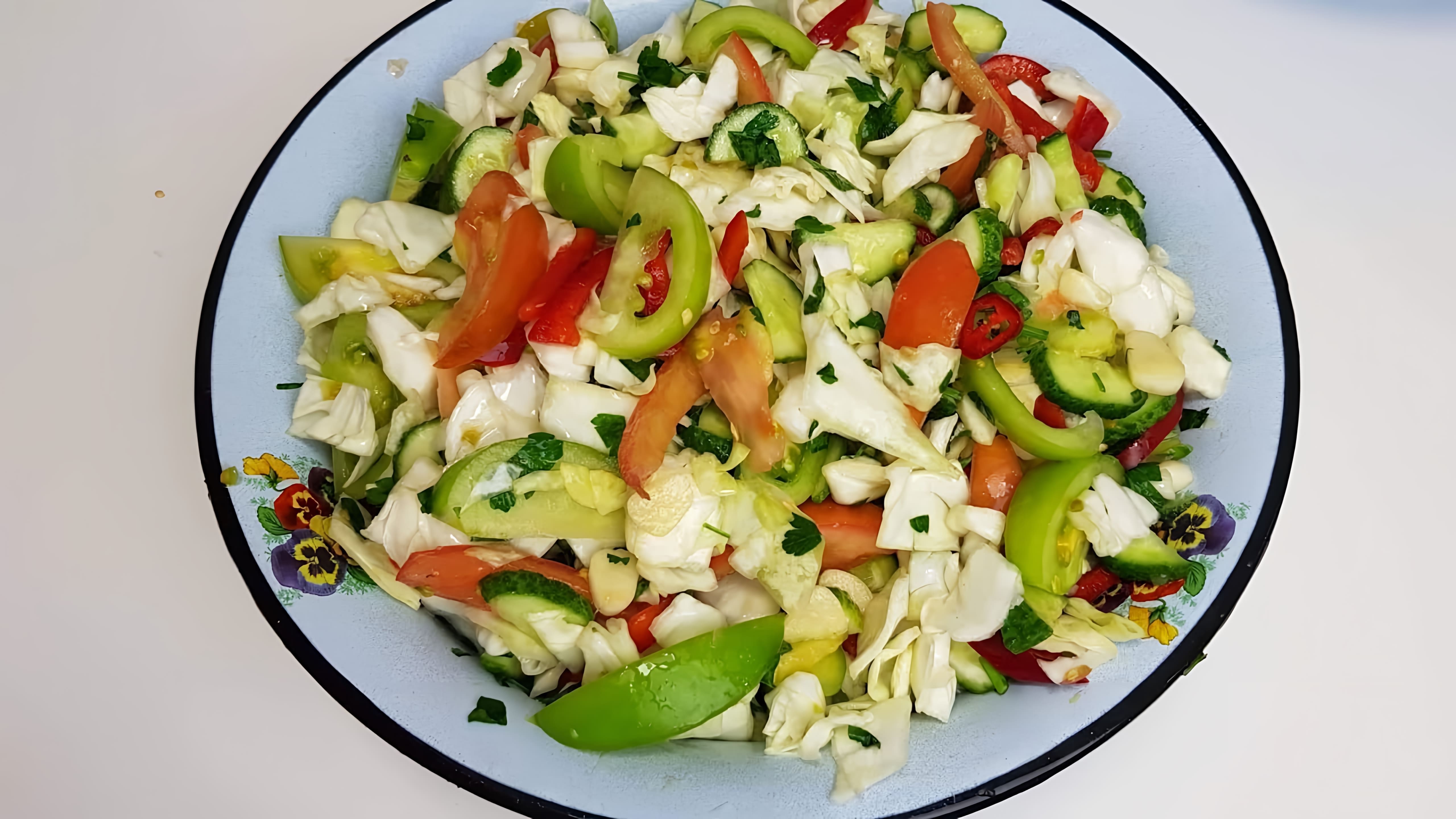 В этом видео-ролике вы увидите, как приготовить вкусный и быстрый салат из капусты и зеленых помидоров