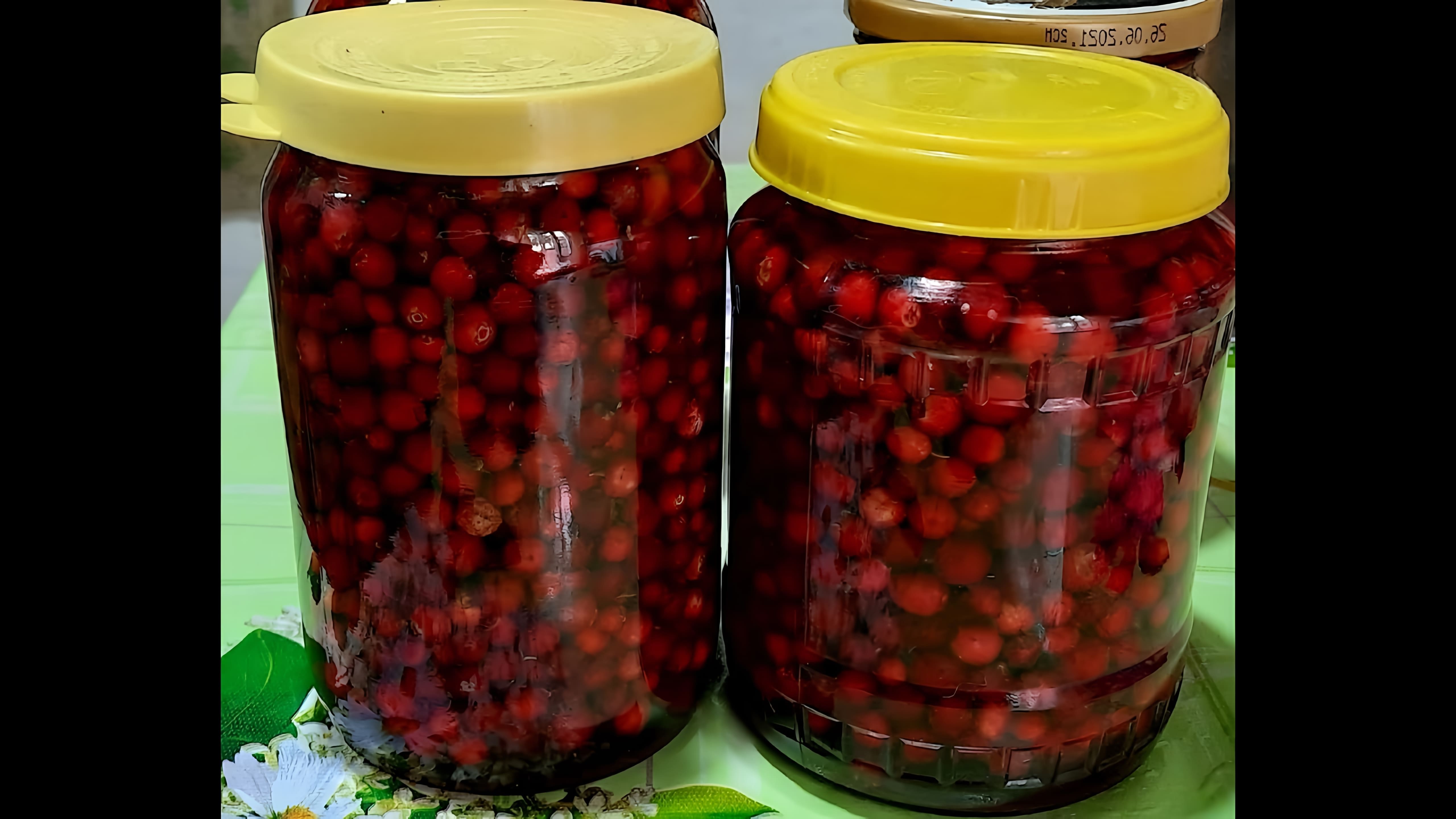 В данном видео Татьяна предлагает четыре способа заготовки брусники на зиму: заморозка, моченые ягоды, соус брусничный и моченые ягоды с приправами