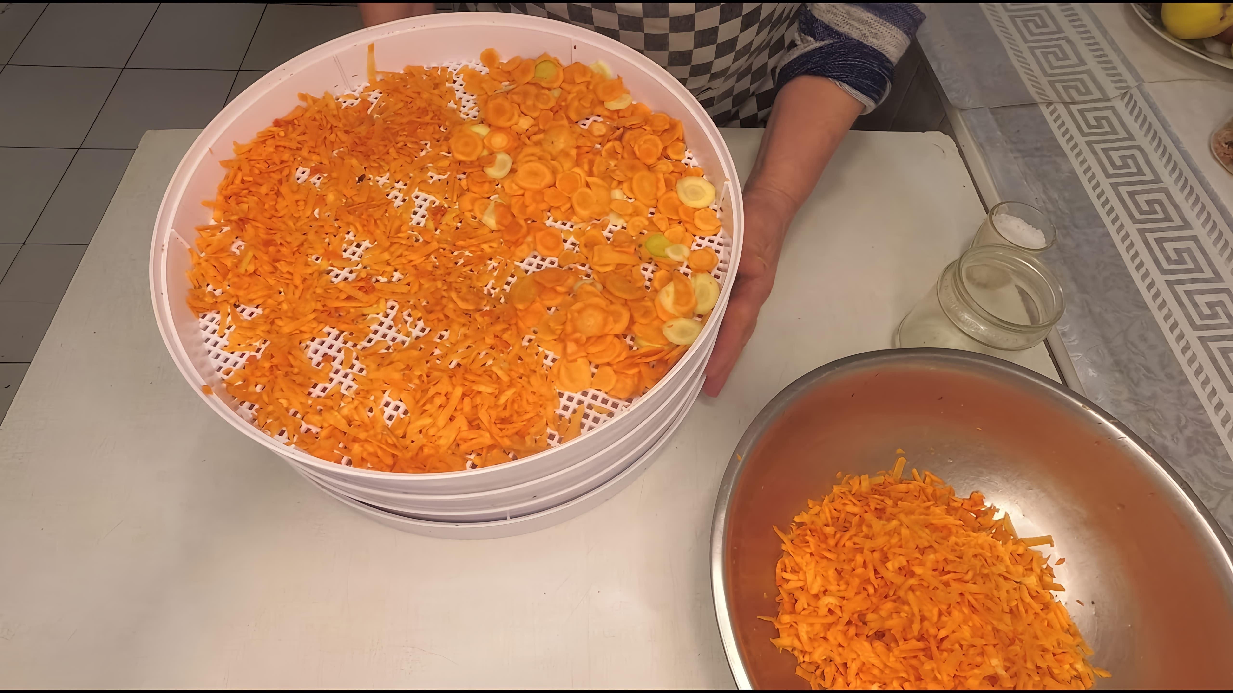 В этом видео рассказывается о четырех способах хранения моркови на зиму