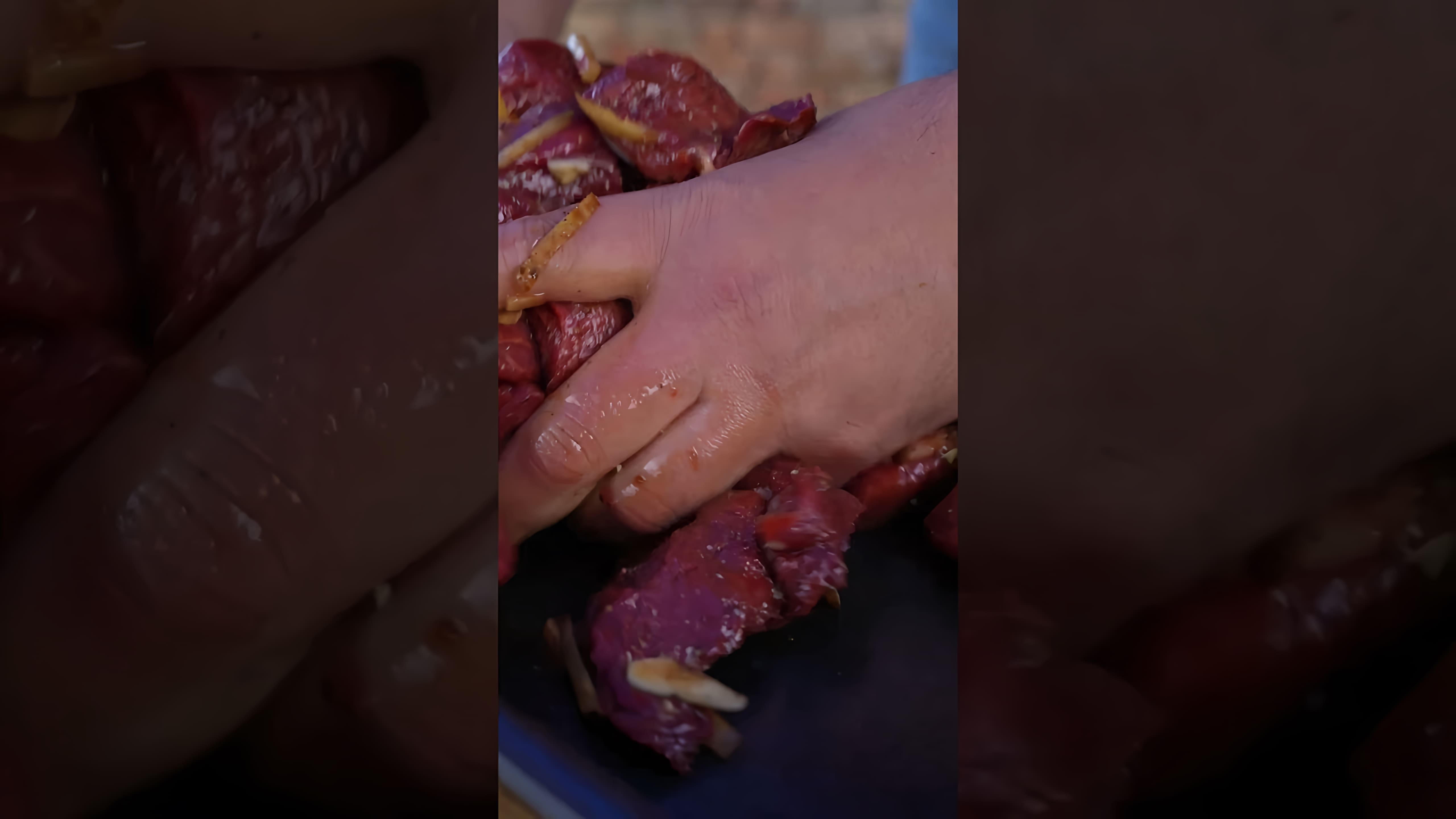 В этом видео-ролике рассказывается о приготовлении шашлыка из конины по традиционному рецепту ойбайширкин