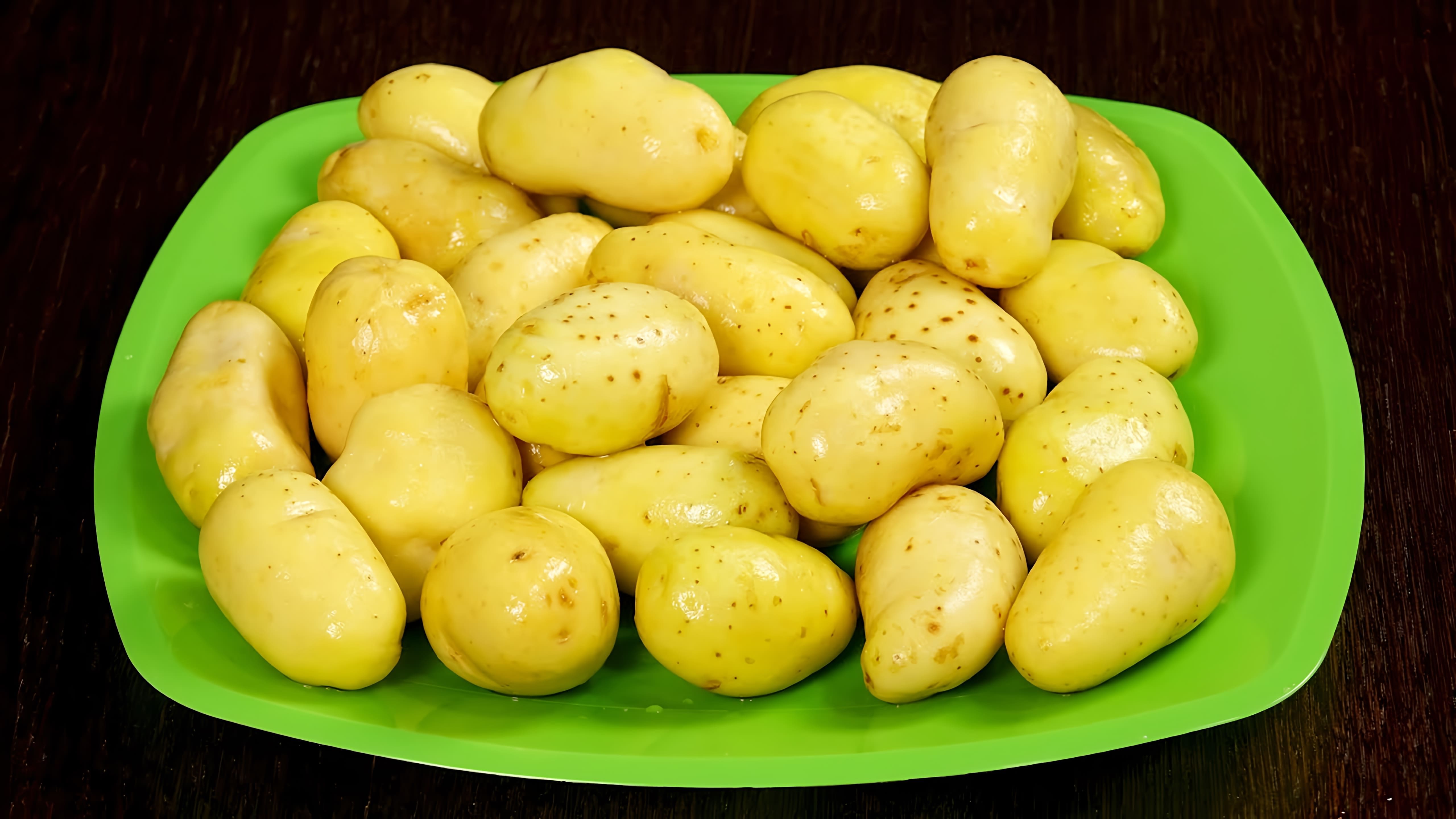 В этом видео рассказывается о пяти рецептах приготовления молодого картофеля