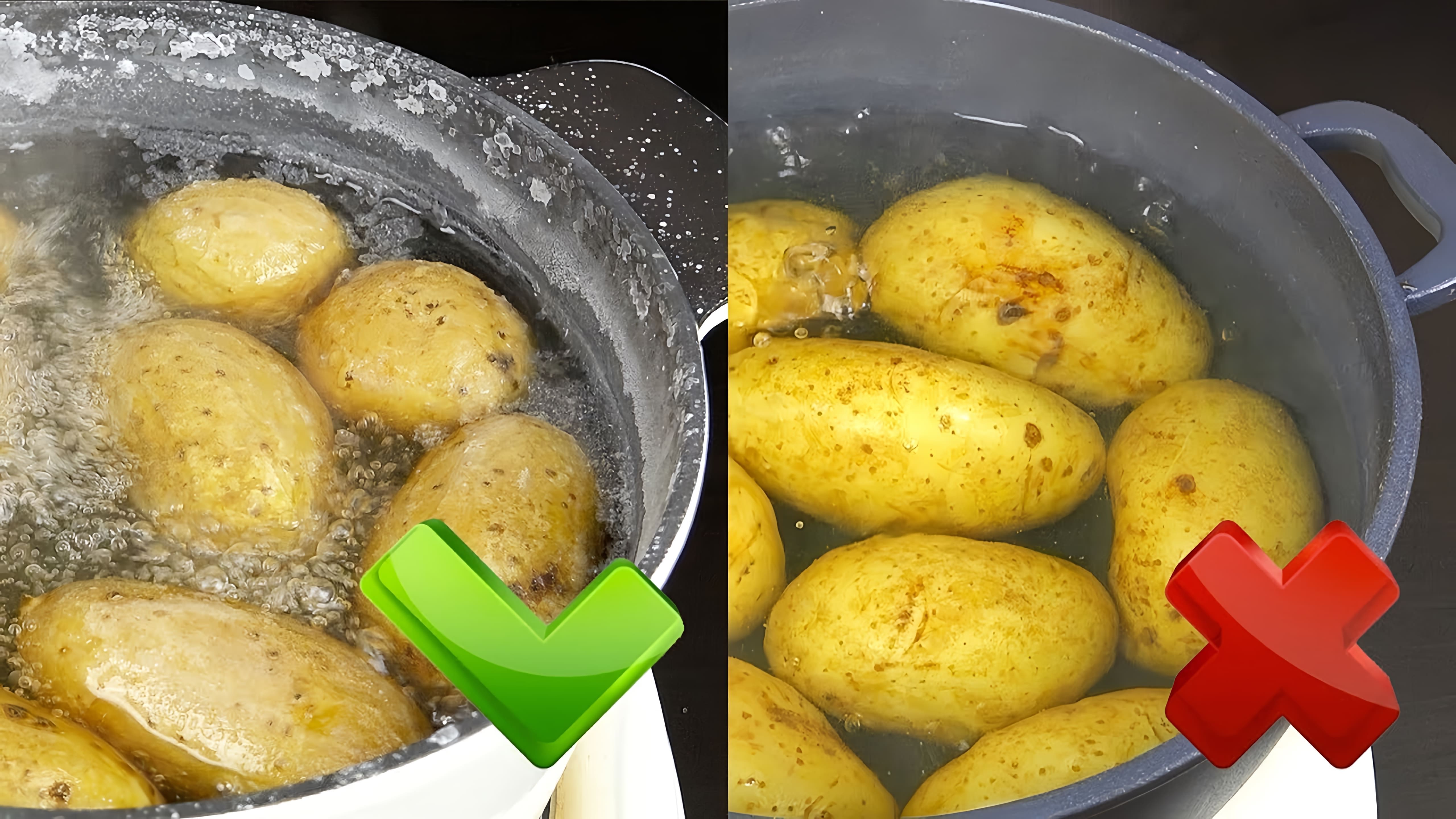 Как я готовлю картофель в мундире. Три способа. Самый быстрый способ пятиминутка - если картофель нужен очень... 