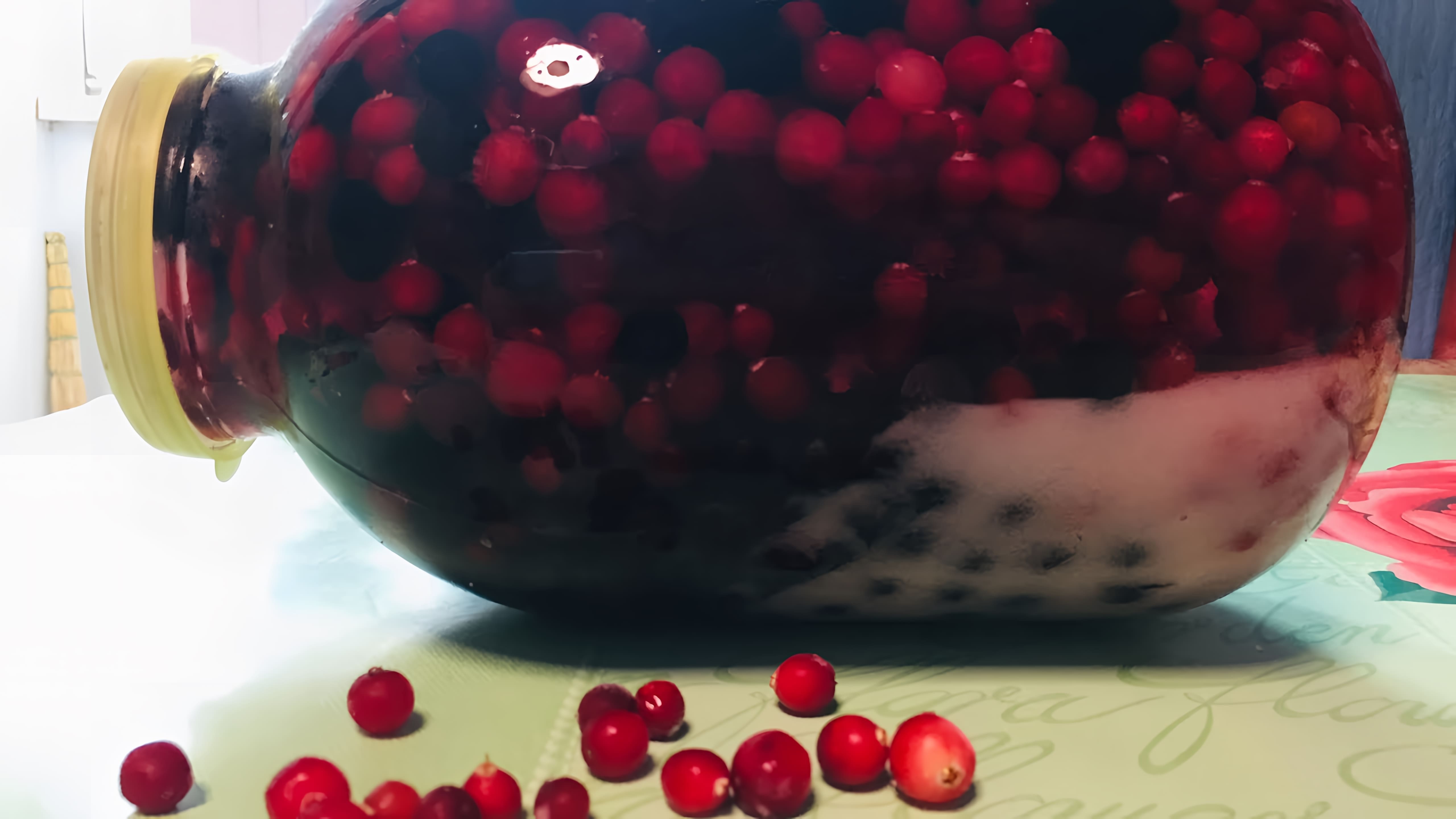 В этом видео демонстрируется процесс приготовления настойки из замороженных ягод