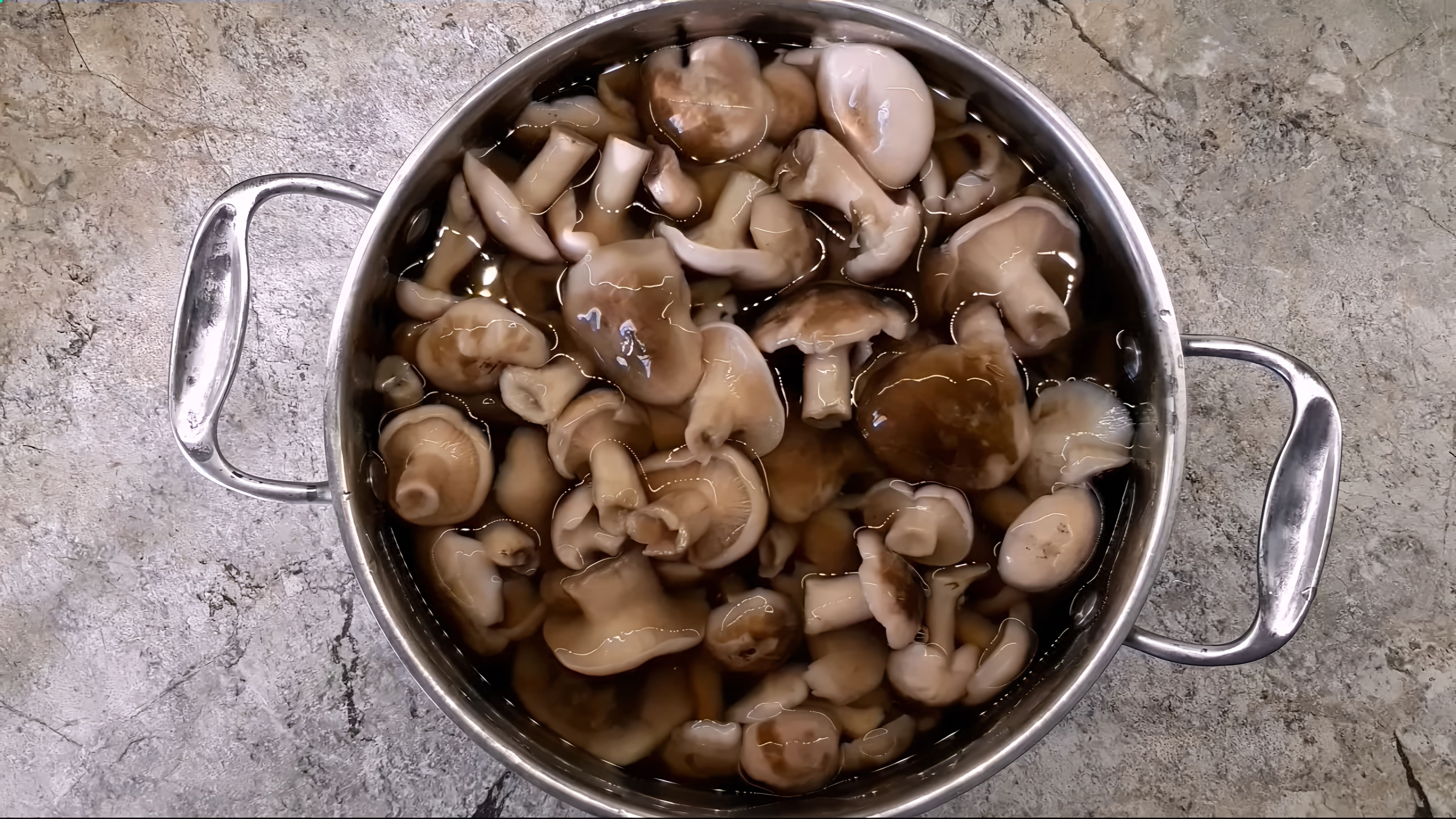 В этом видео демонстрируется процесс приготовления грибов рядовки серой