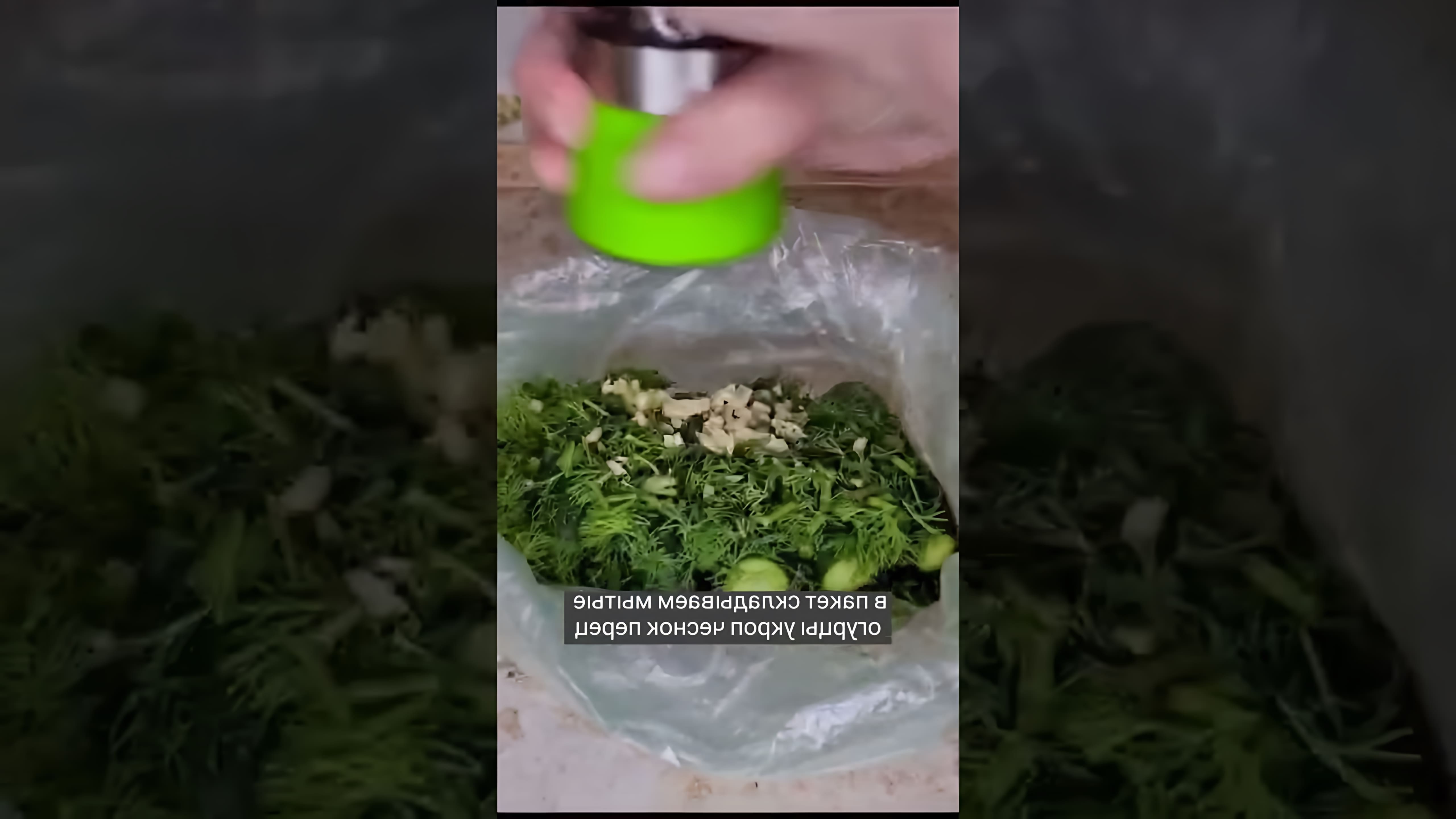 МАЛОСОЛЬНЫЕ ОГУРЦЫ В ПАКЕТЕ

В этом видео-ролике я покажу, как приготовить вкусные и ароматные малосольные огурцы в пакете