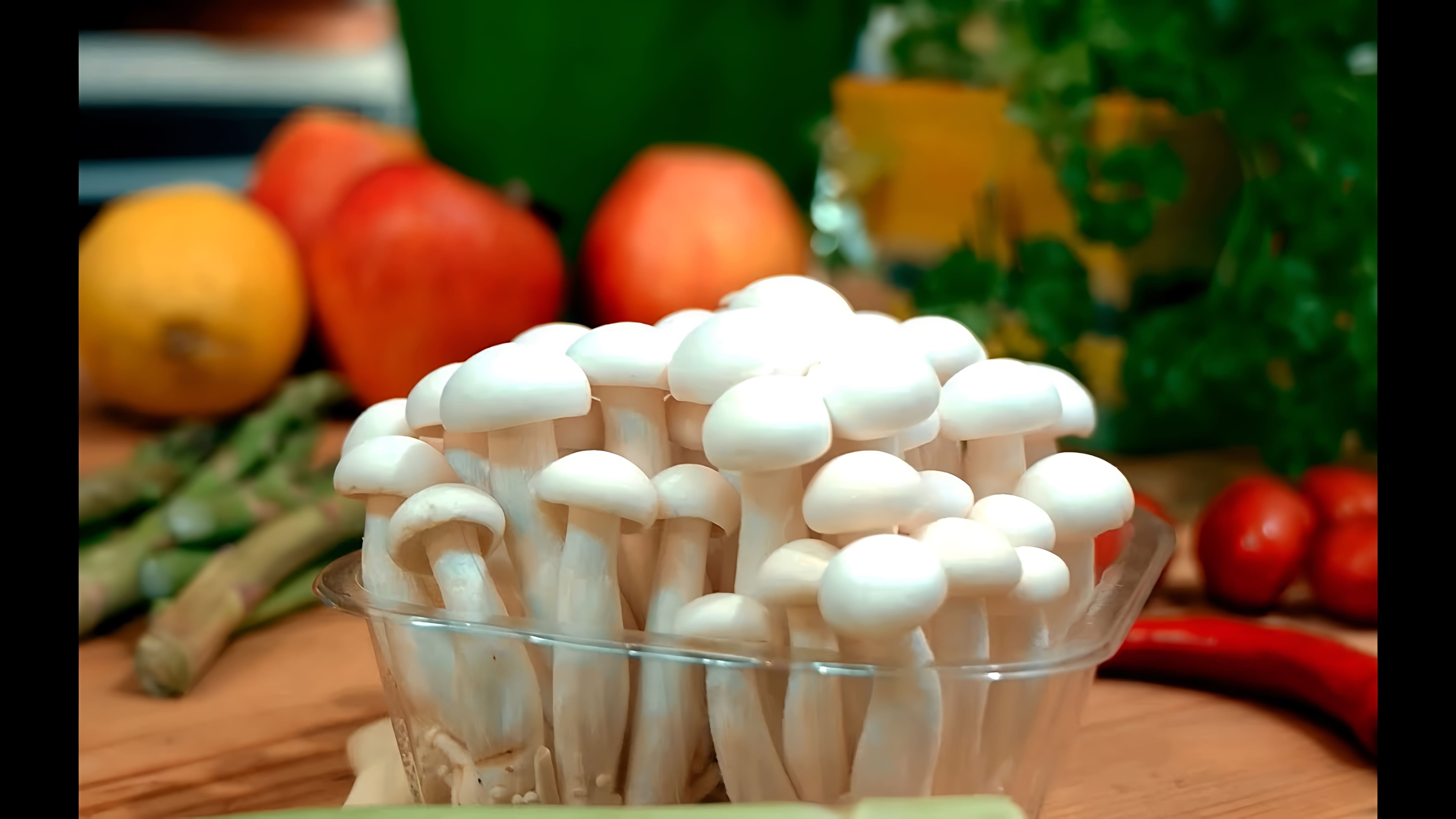 В этом видео Шеф Андрей рассказывает о грибах Шимеджи, которые широко распространены в Азии и доступны в любом магазине мира