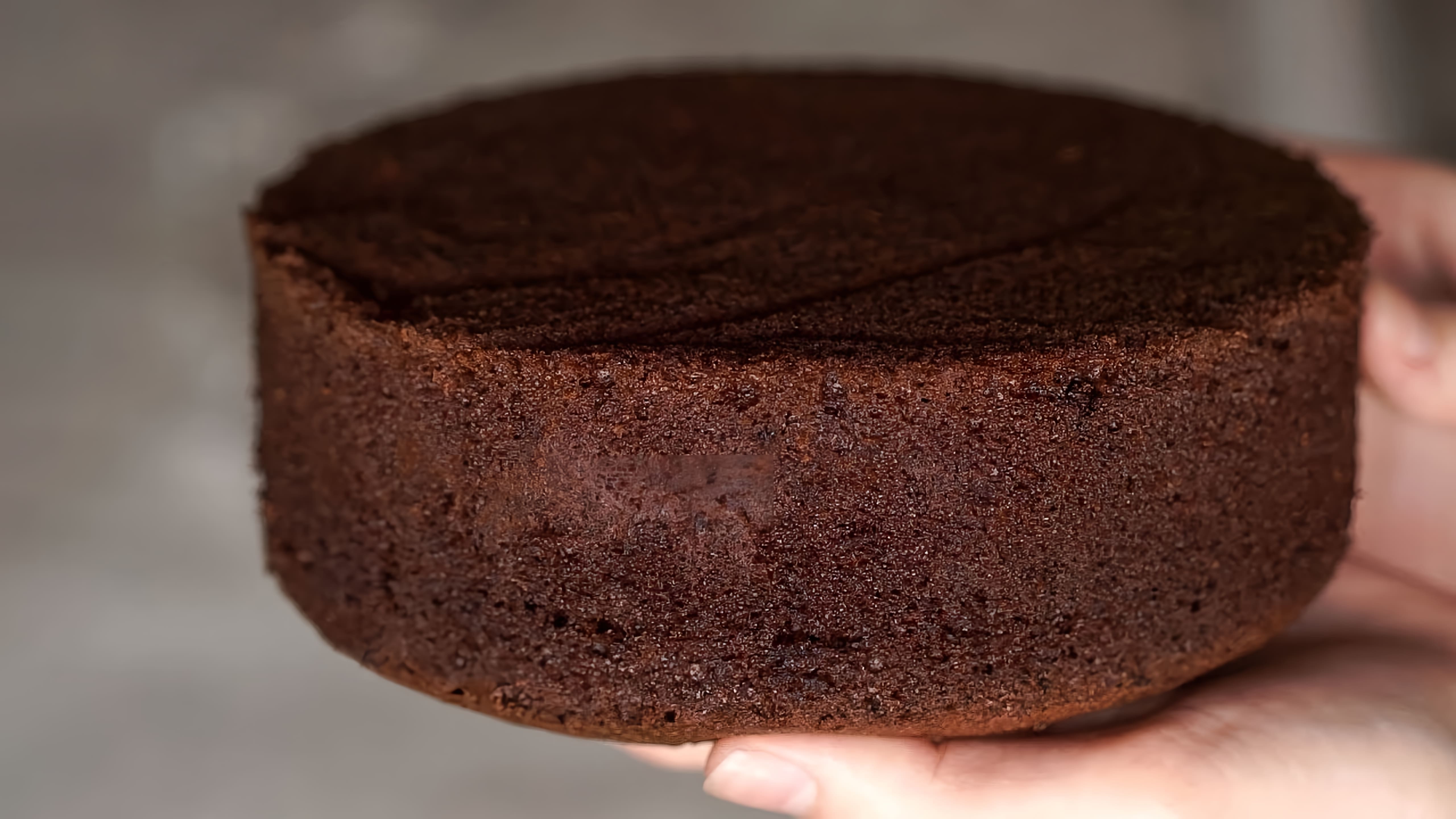 В этом видео демонстрируется рецепт шоколадного шифонового бисквита