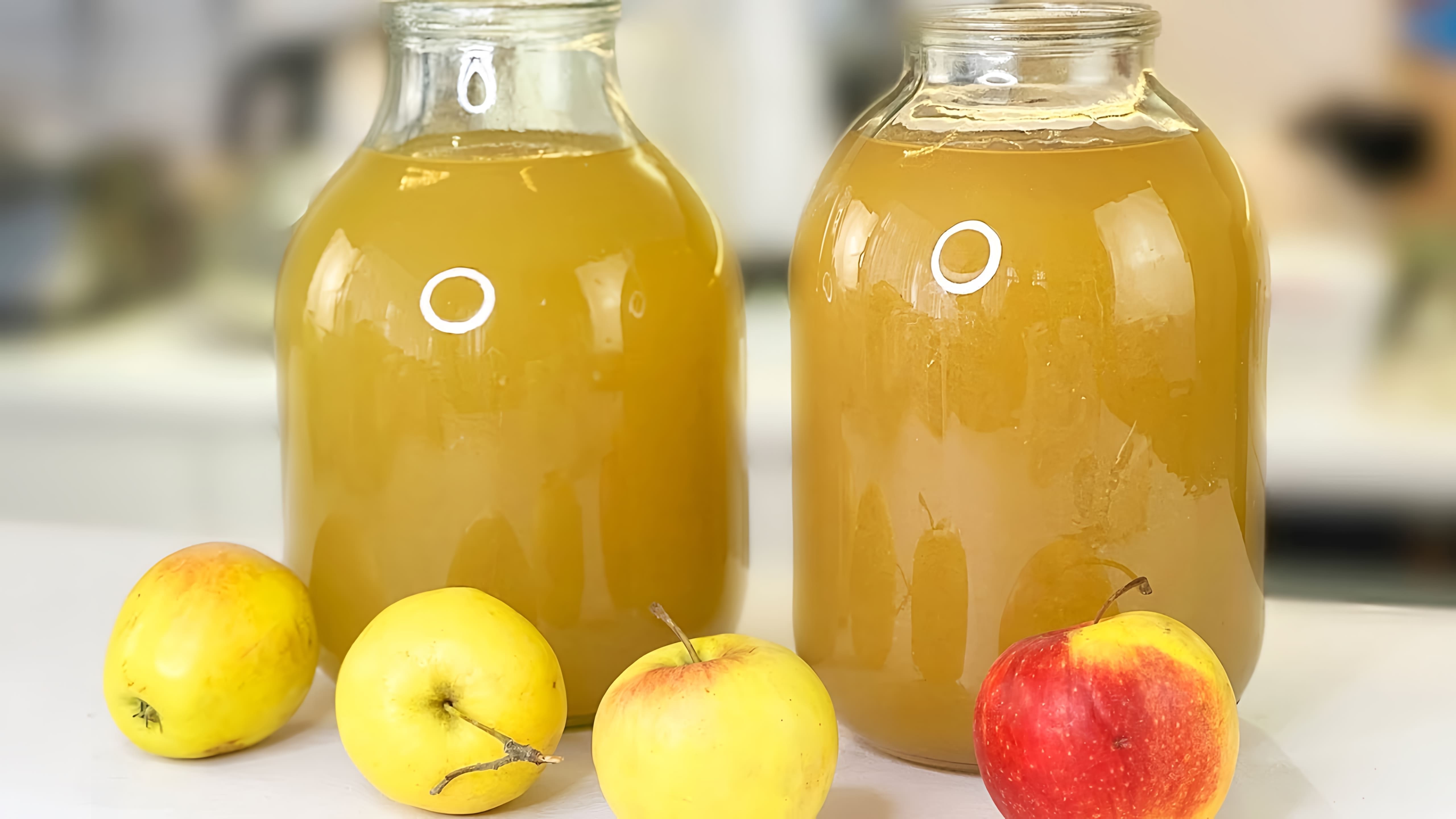 В этом видео демонстрируется процесс приготовления натурального яблочного сока в домашних условиях