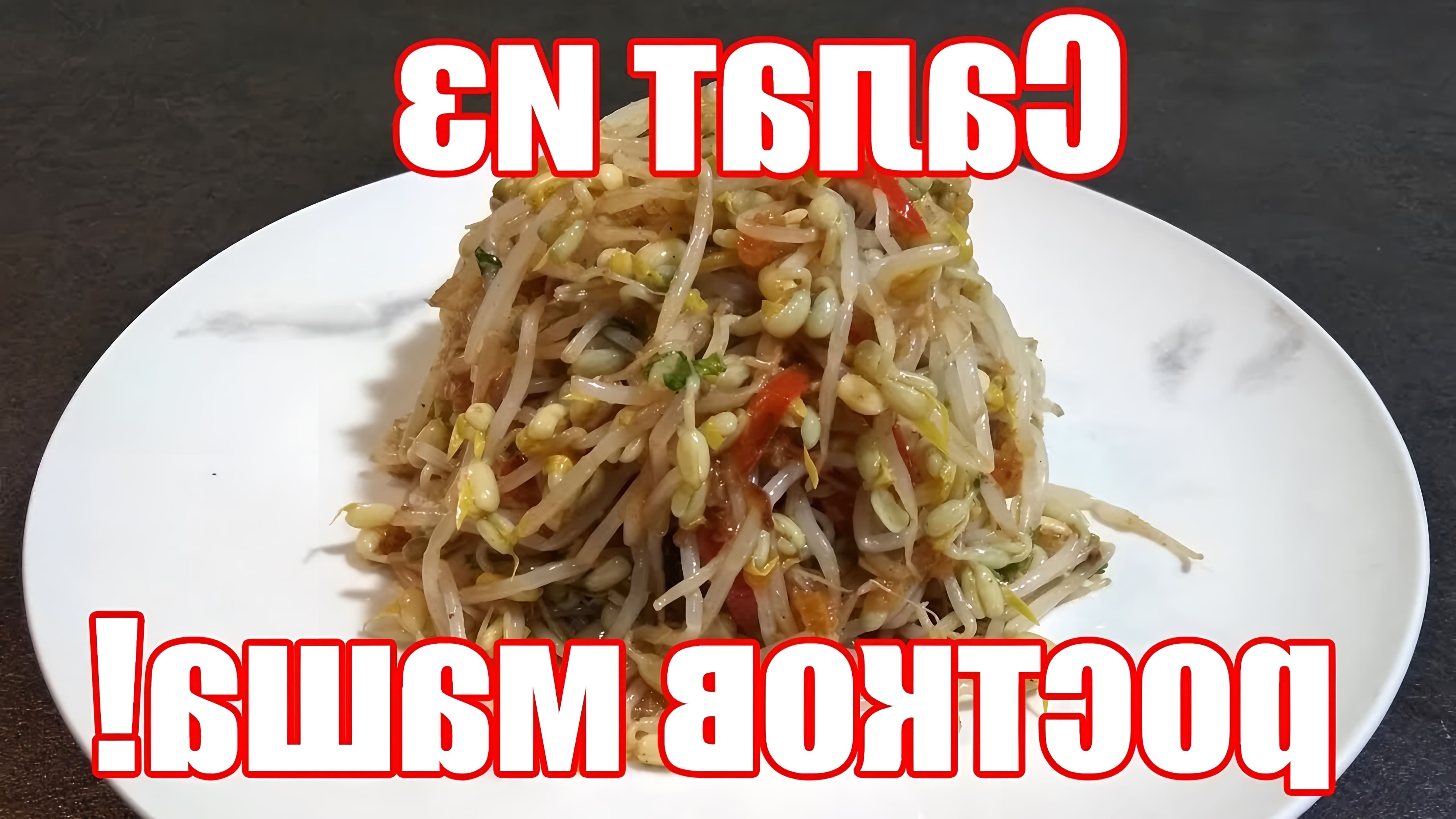 В этом видео демонстрируется рецепт корейского салата из пророщенного маша