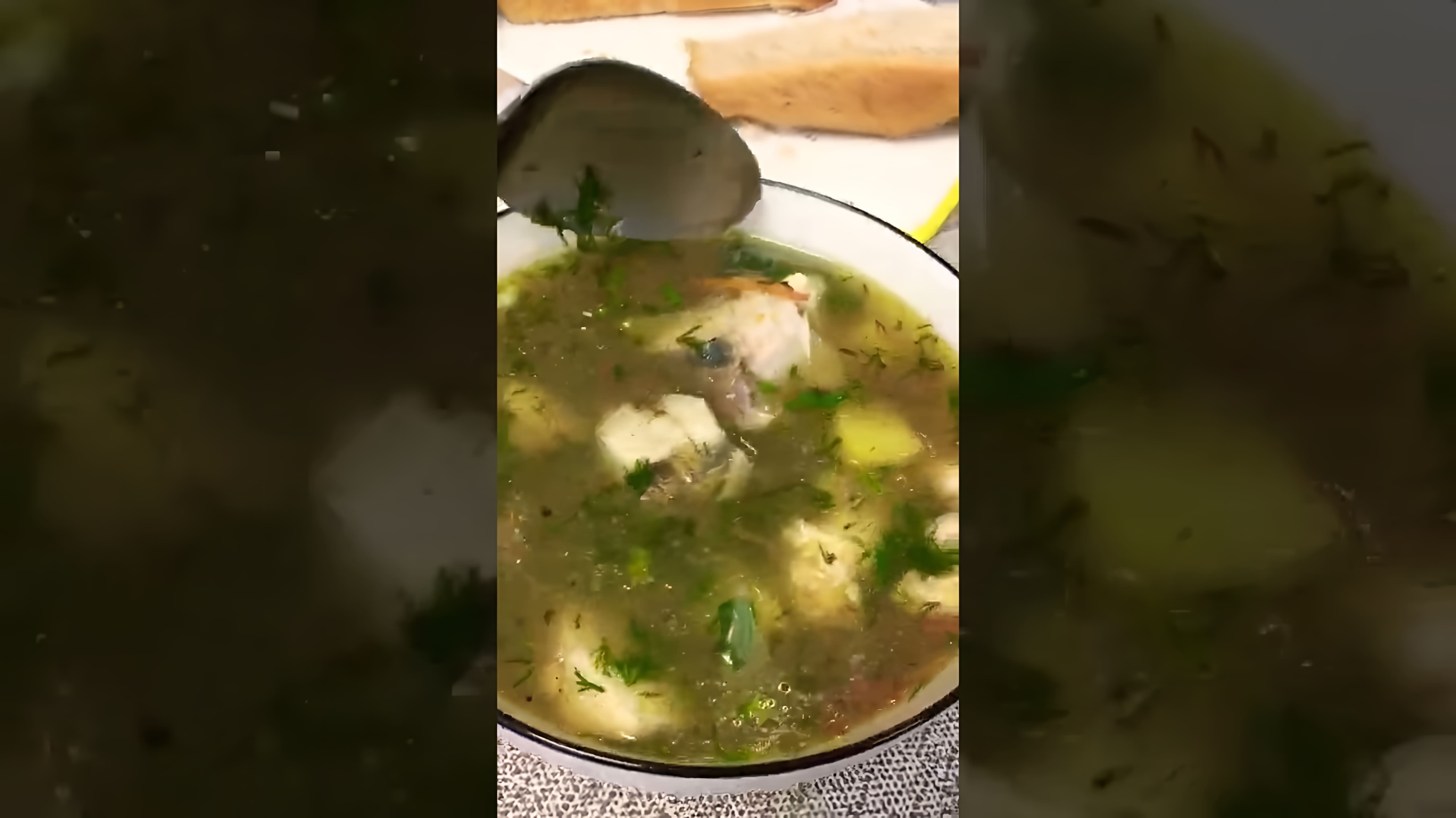 В этом видео-ролике рассказывается о рыбном супе, ухе, супе из рыбы и других рецептах