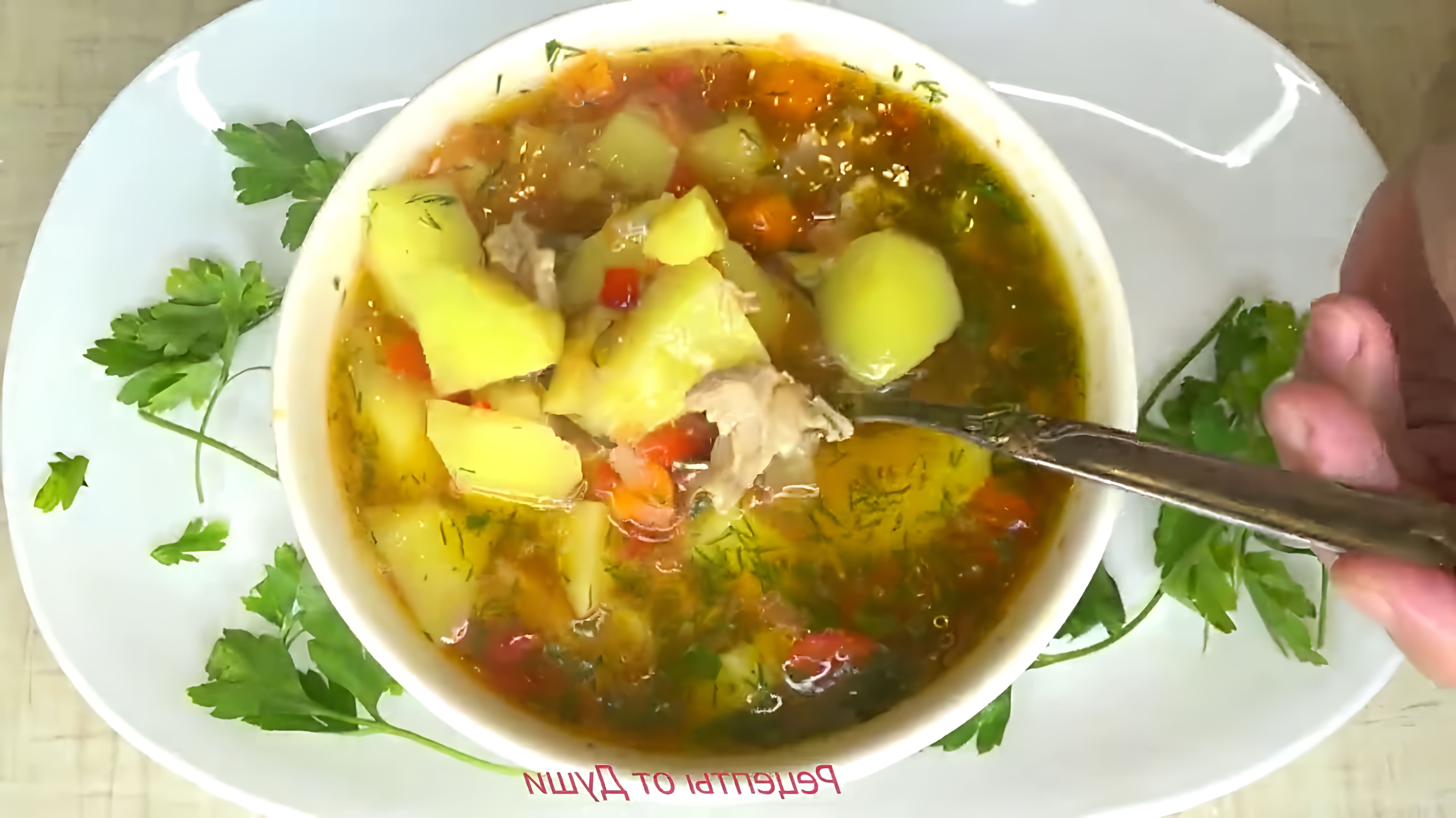 В этом видео демонстрируется процесс приготовления вкусного супа с болгарским перцем, картофелем и мясом