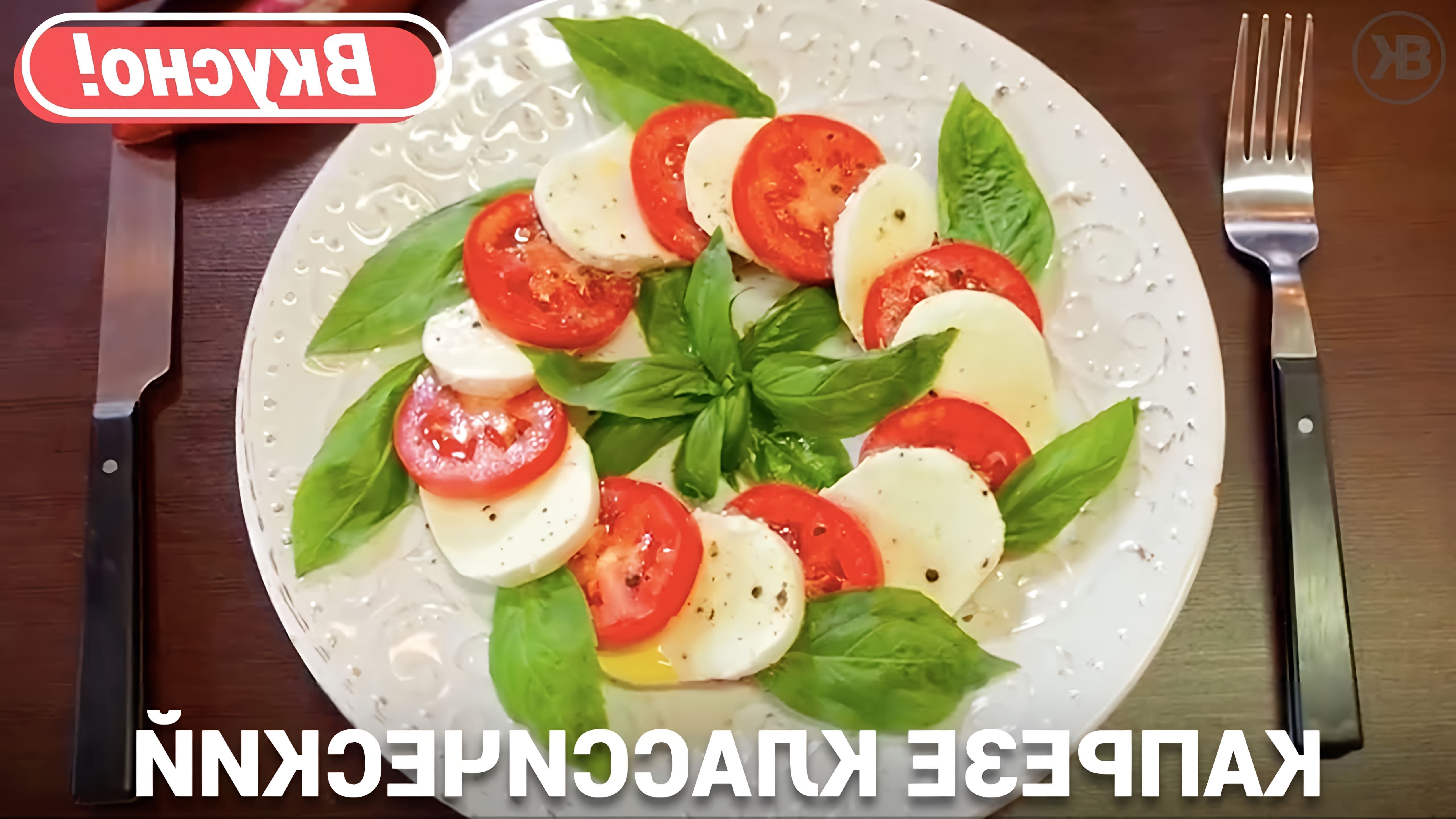 Рецепт капрезе с моцареллой, помидорами и базиликом. Как приготовить салат капрезе по классическому рецепту дома. 