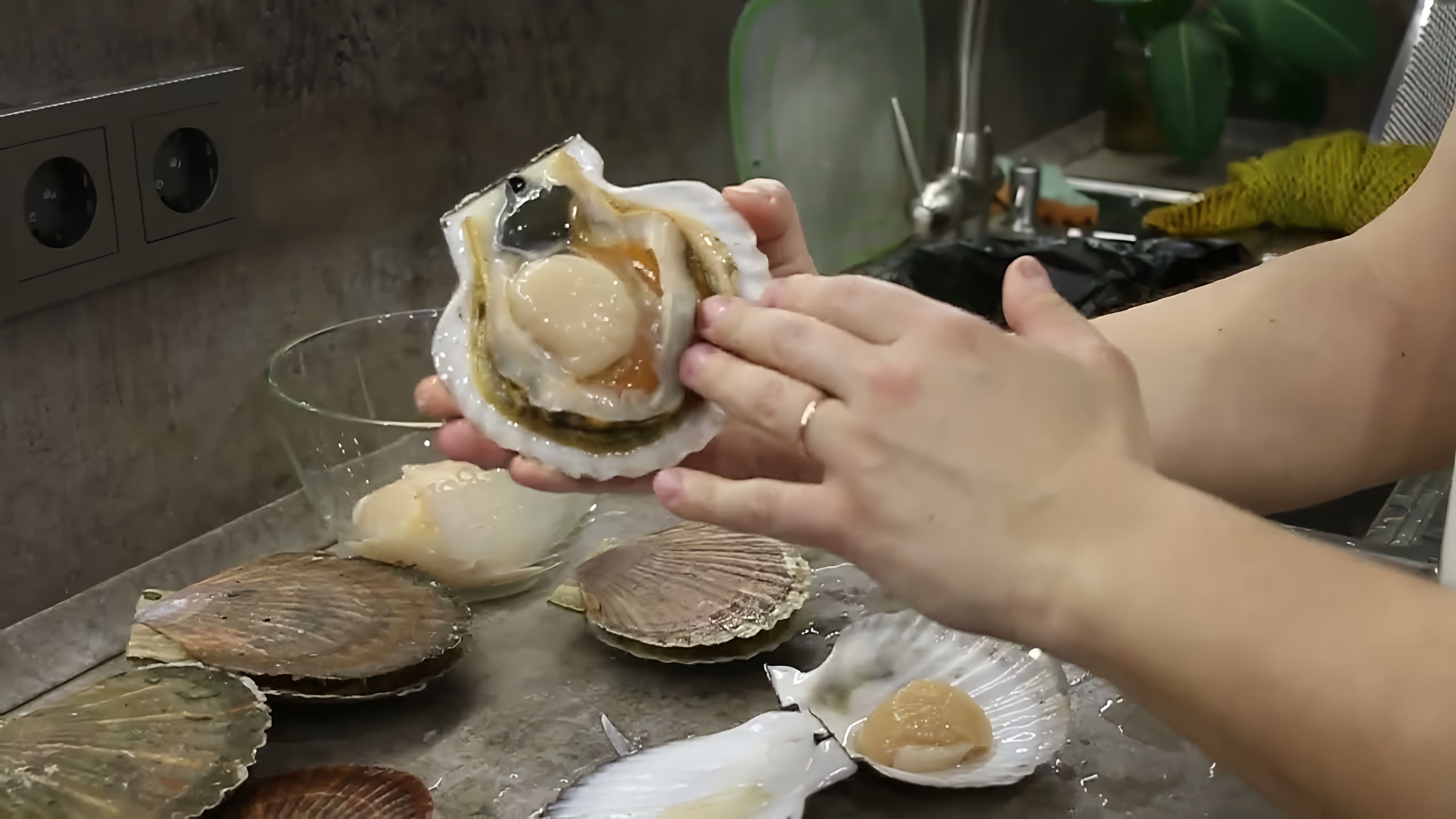 Морской гребешок - это вкусное и полезное блюдо, которое можно приготовить различными способами