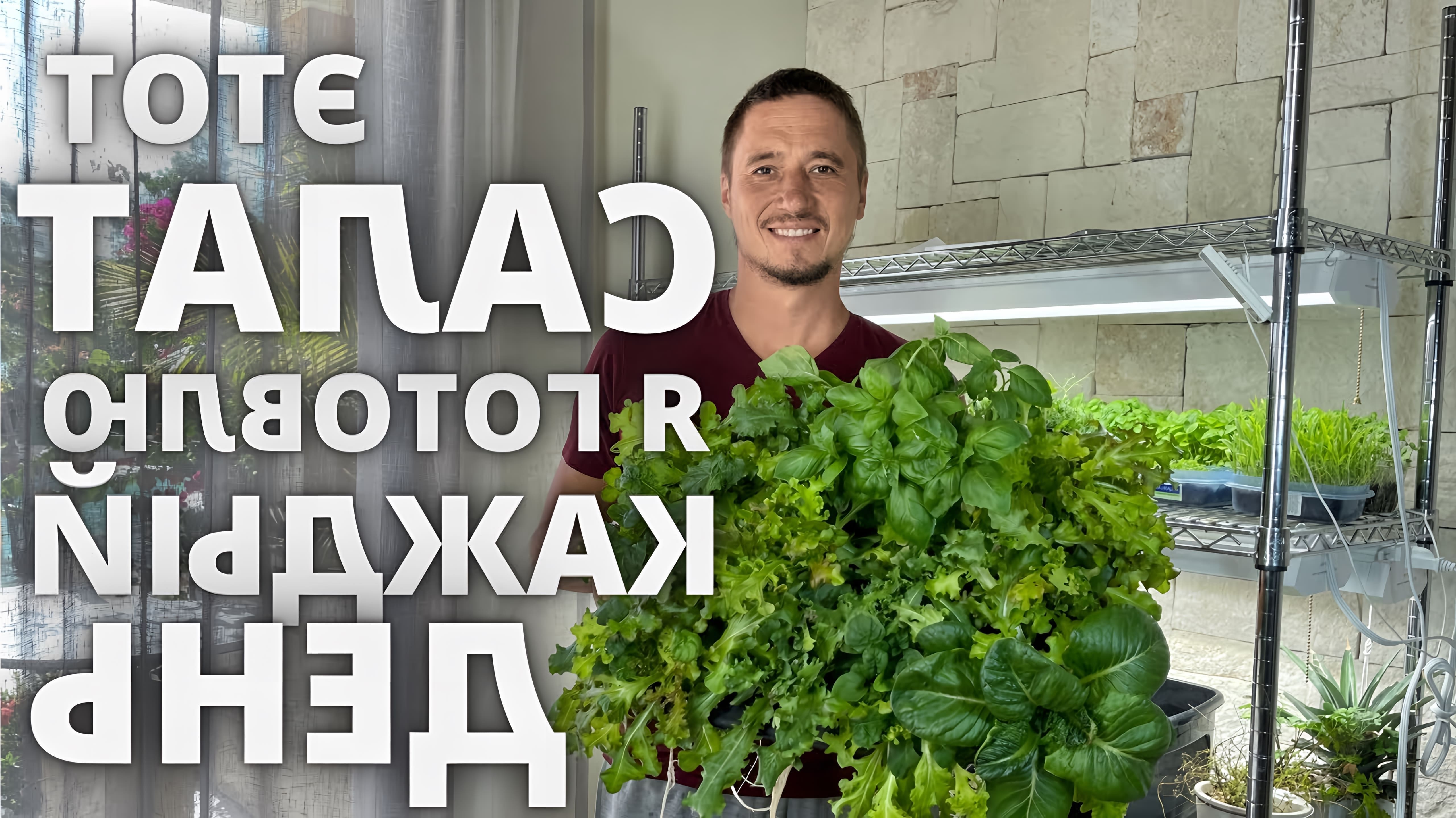 В этом видео демонстрируется процесс приготовления салата из листьев зелени и его заправки