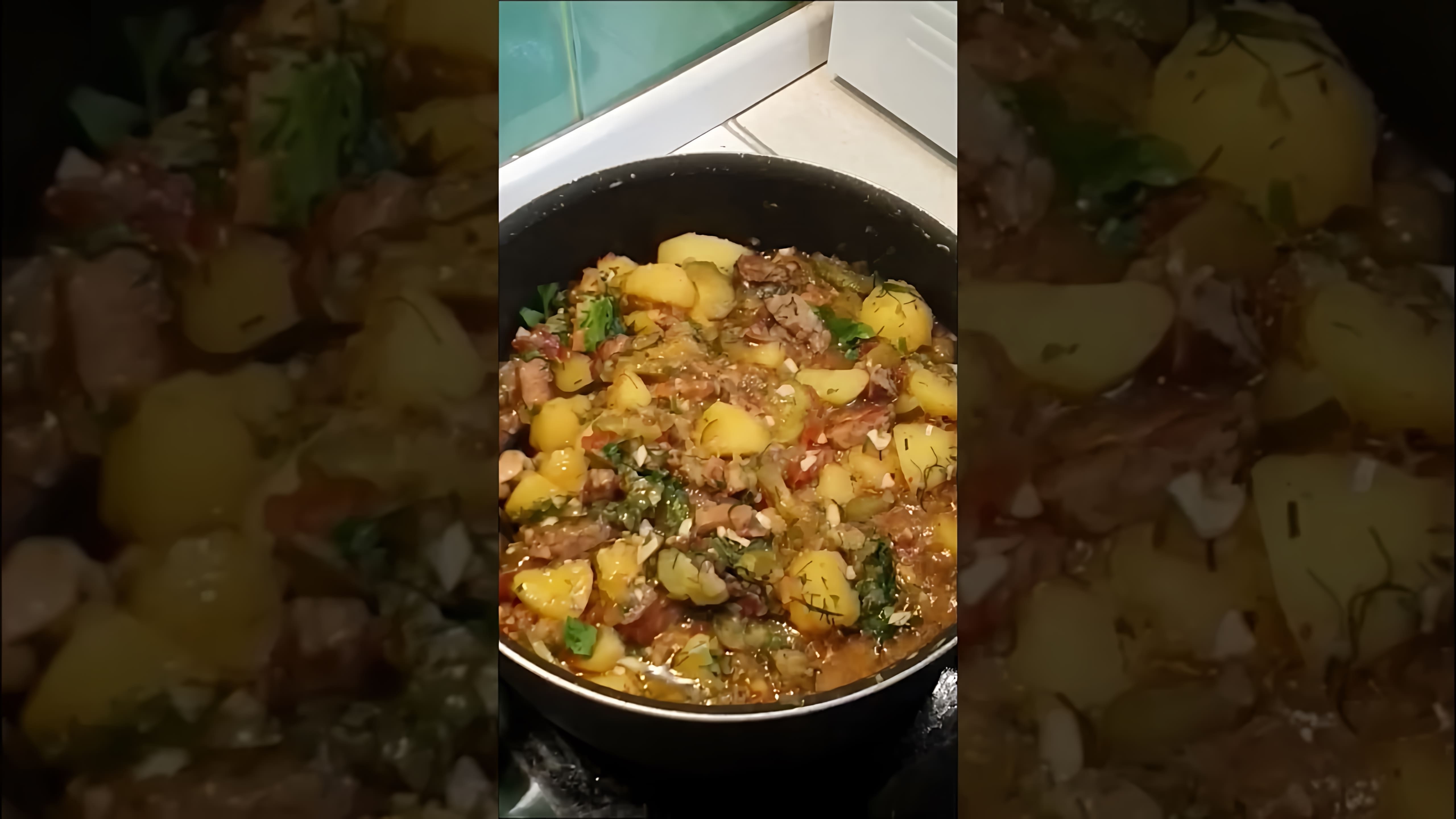В этом видео-ролике вы увидите, как приготовить азу по-татарски с солеными огурцами