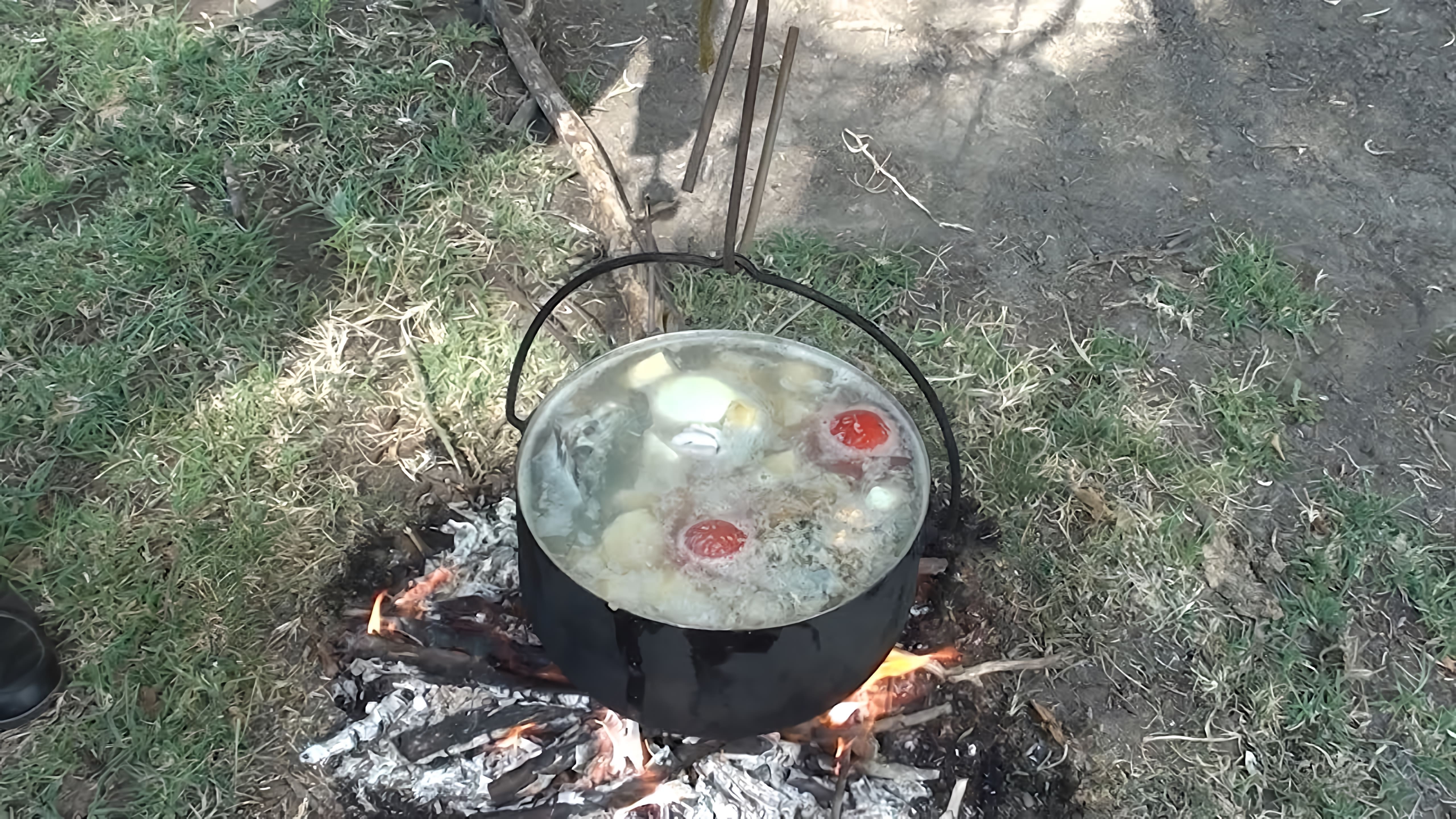 В этом видео демонстрируется процесс приготовления ухи из сома и сазана по рецепту егеря из Астрахани