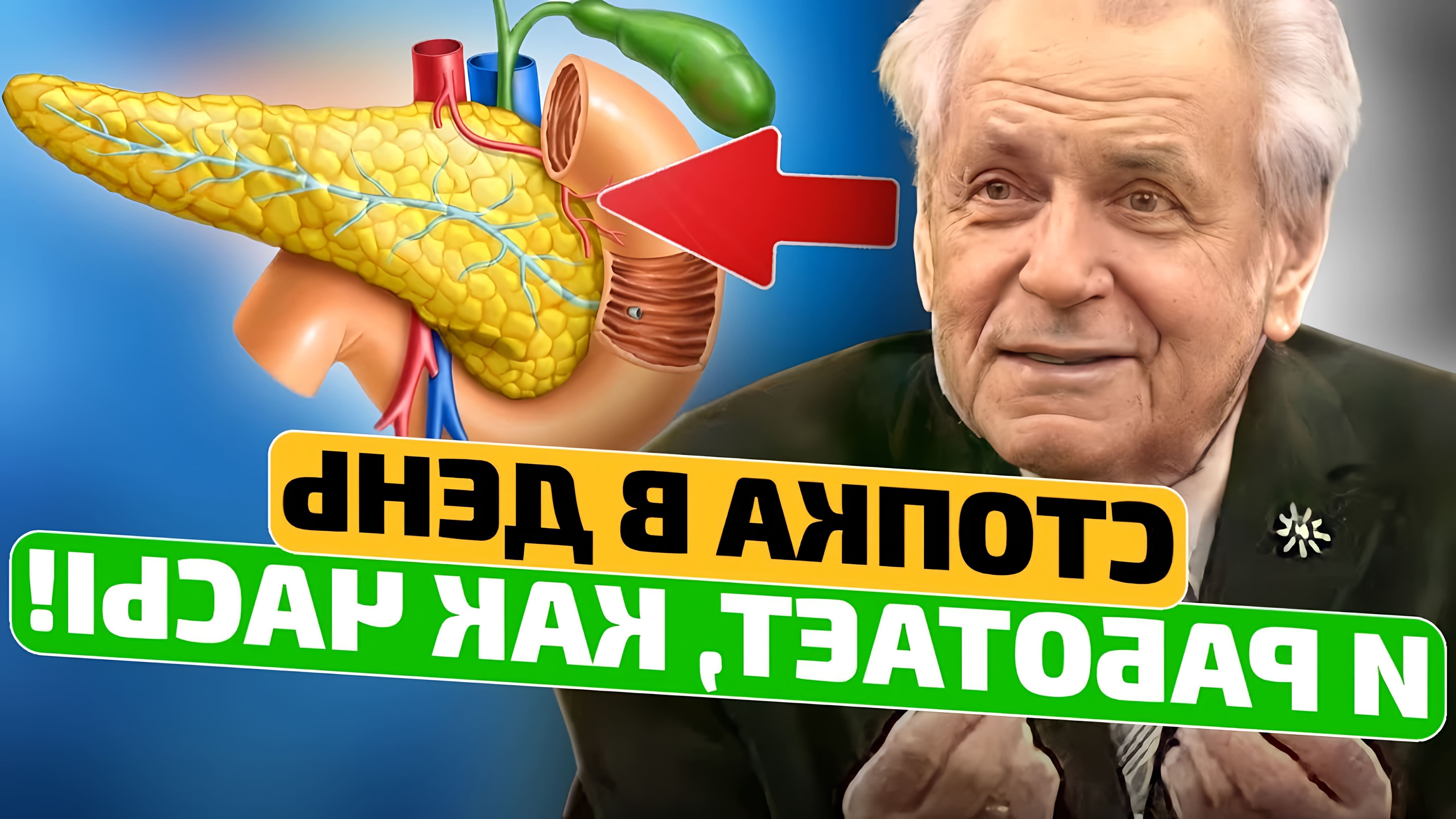 В этом видео профессор Неумывакин рассказывает о важности поддержания хорошей работы поджелудочной железы