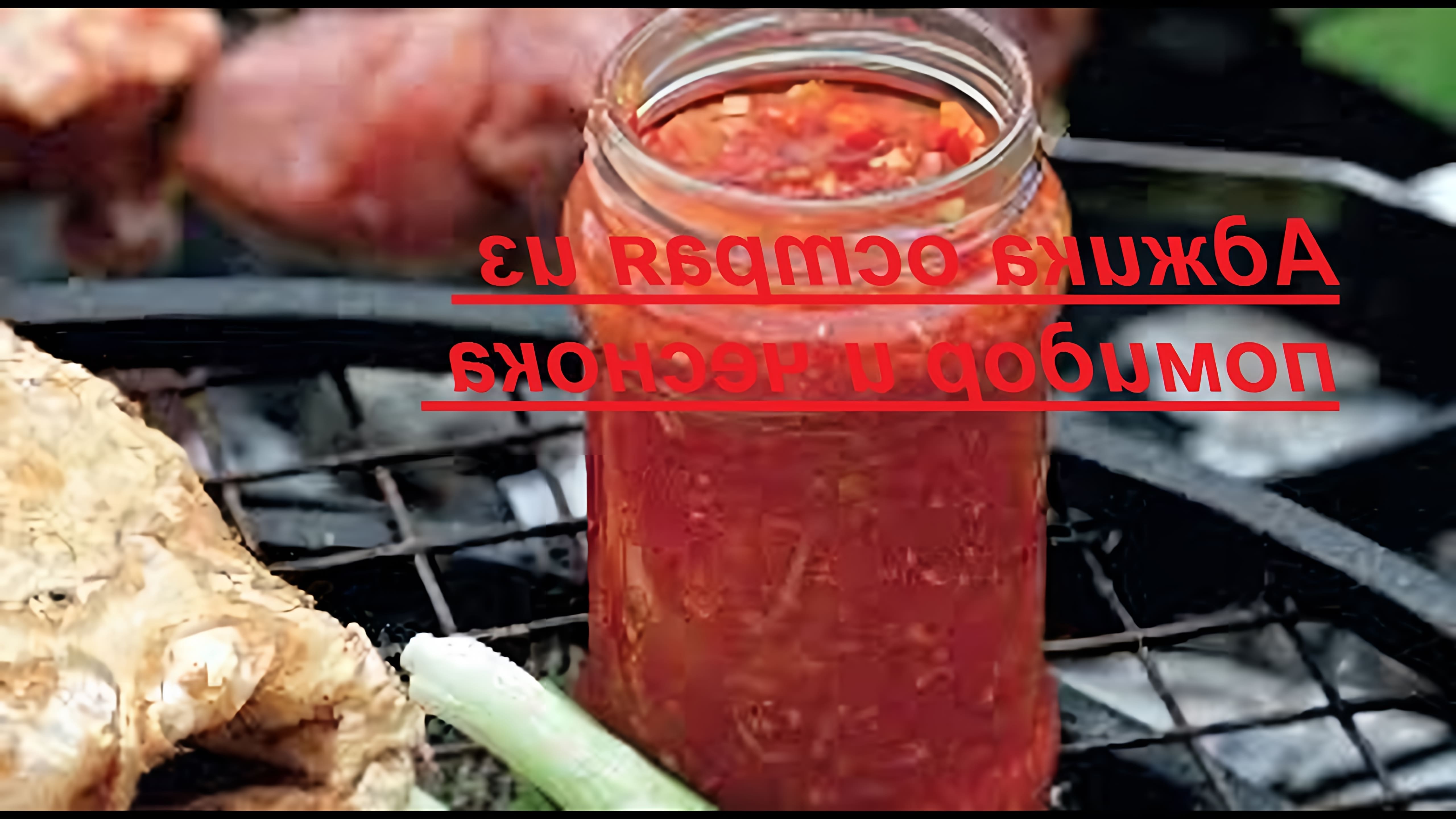 Видео рецепт для приготовления аджики, острой грузинской соуса из помидоров и чеснока