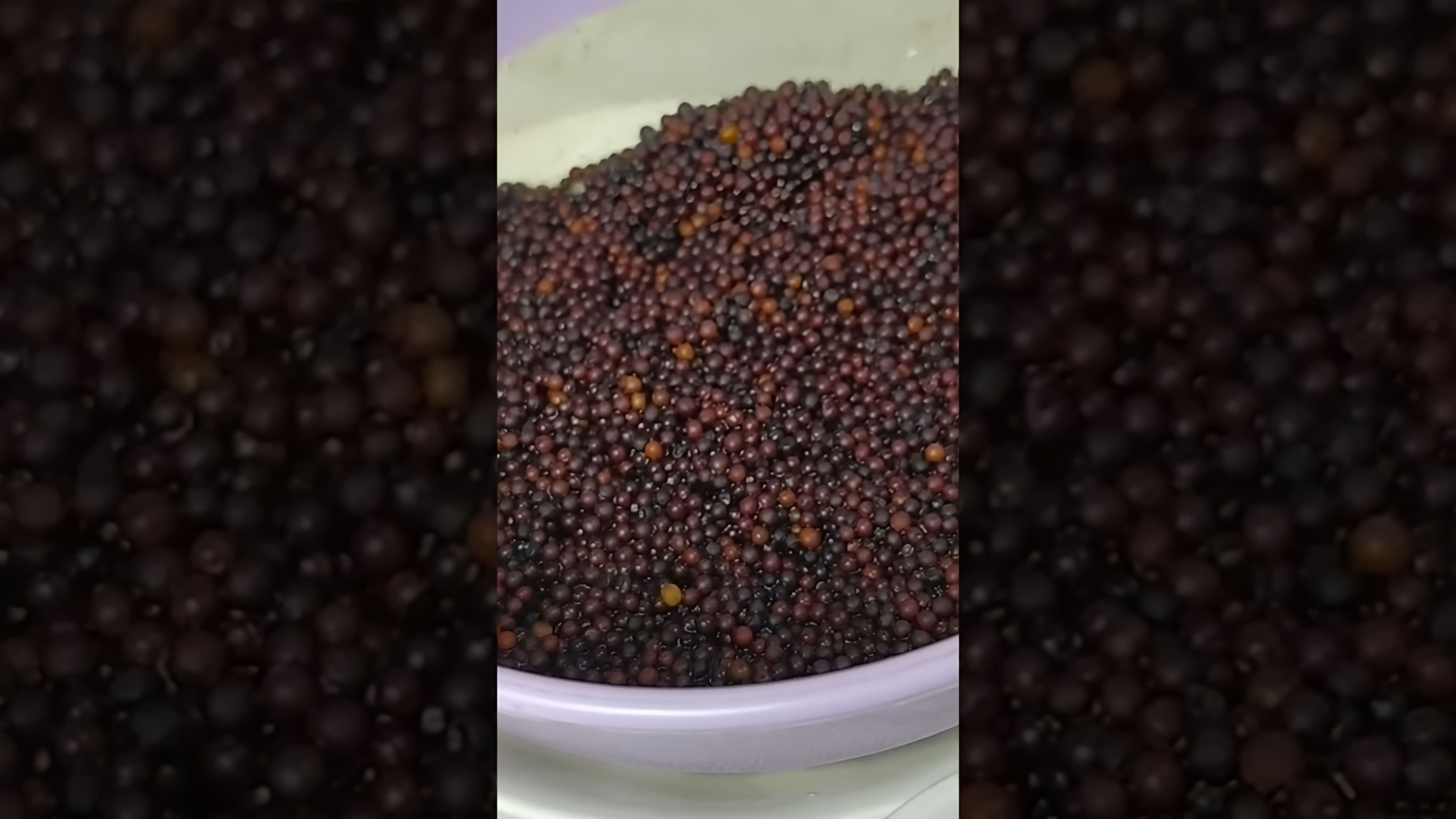 В этом видео демонстрируется процесс приготовления дижонской горчицы