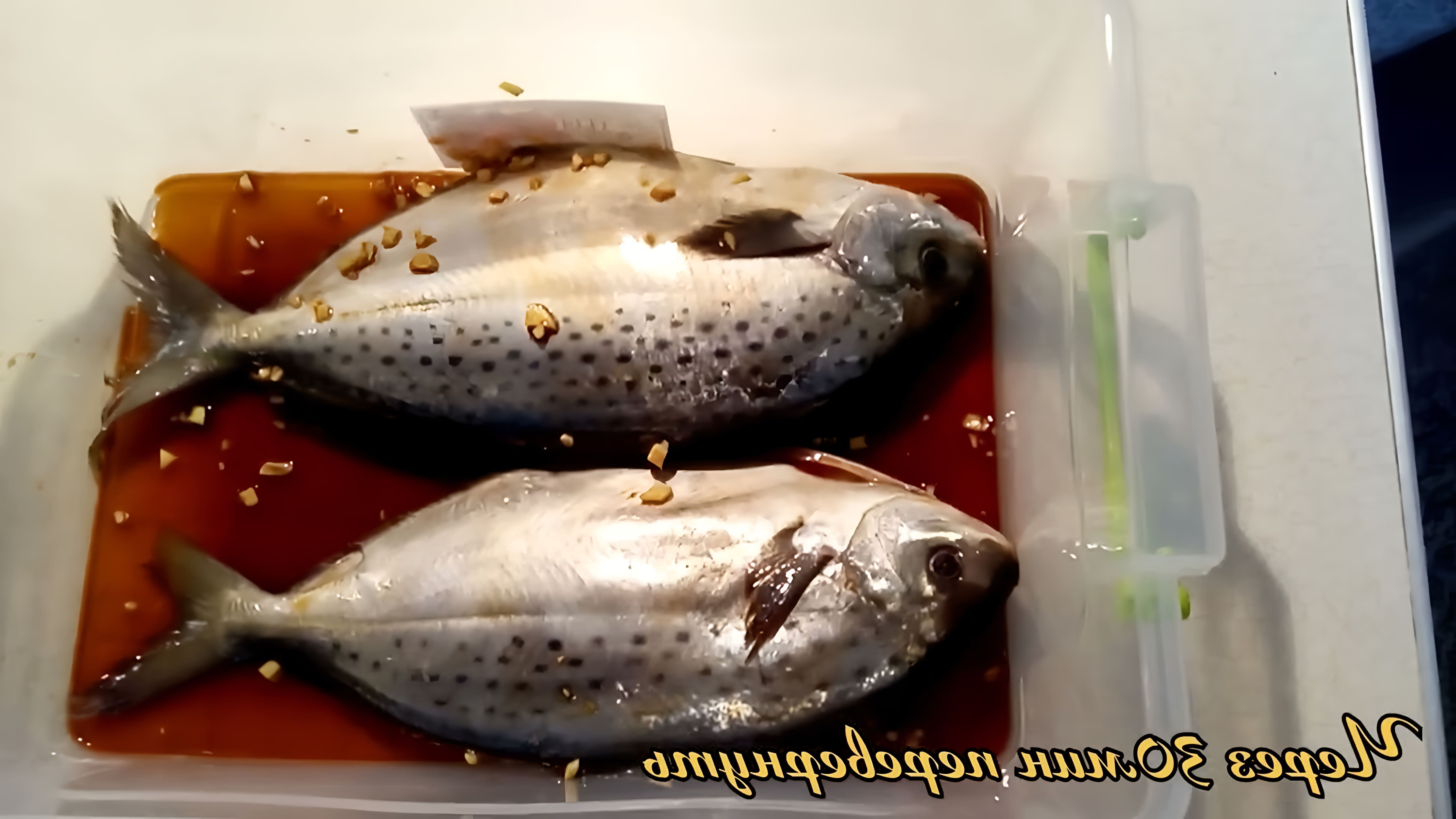 Вкуснятина, рыба Пампанита - это видео-ролик, который показывает процесс приготовления вкусной итальянской рыбы Пампанита