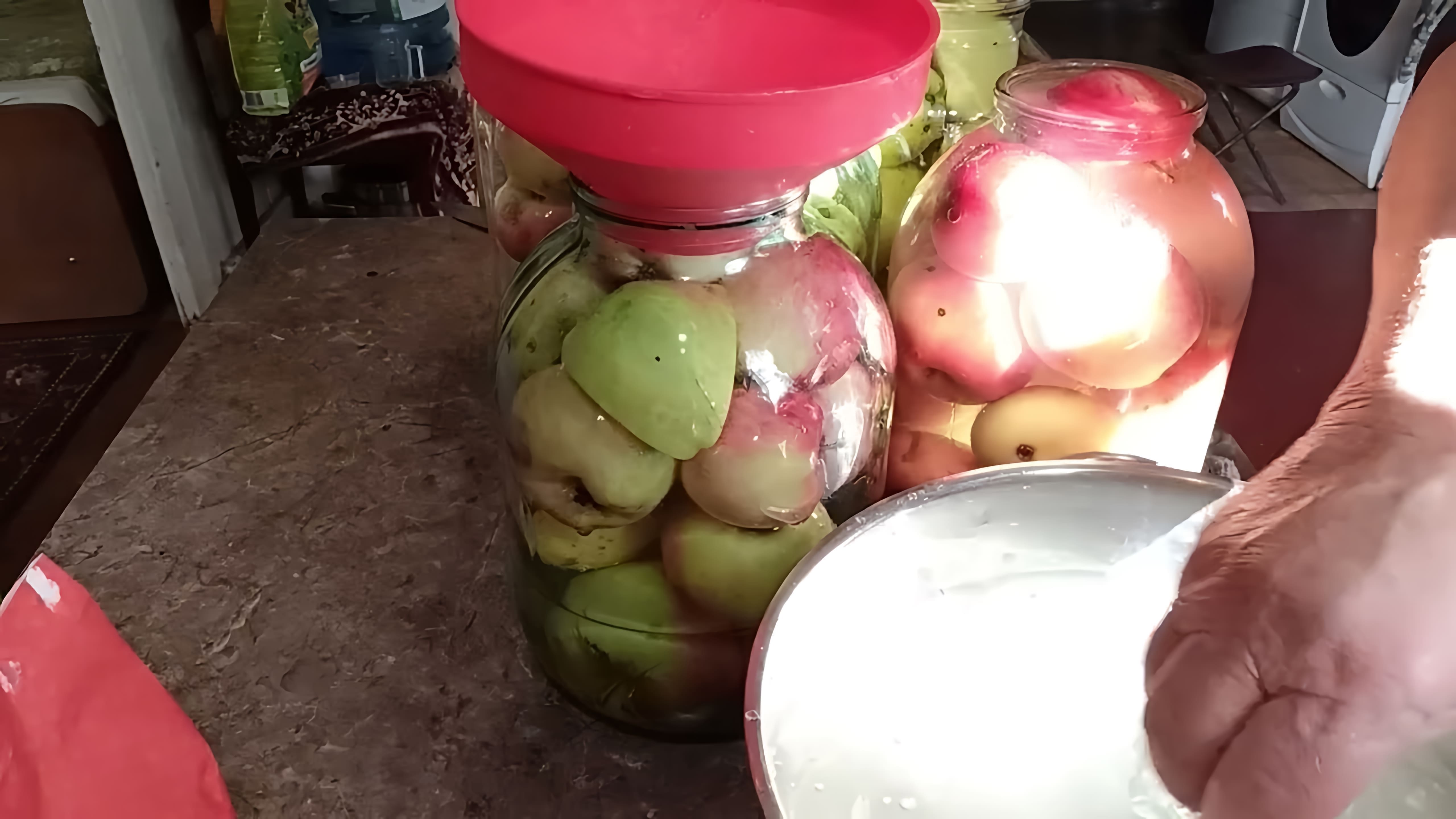 В этом видео бабушка Галя делится своим опытом приготовления моченых яблок без использования листьев