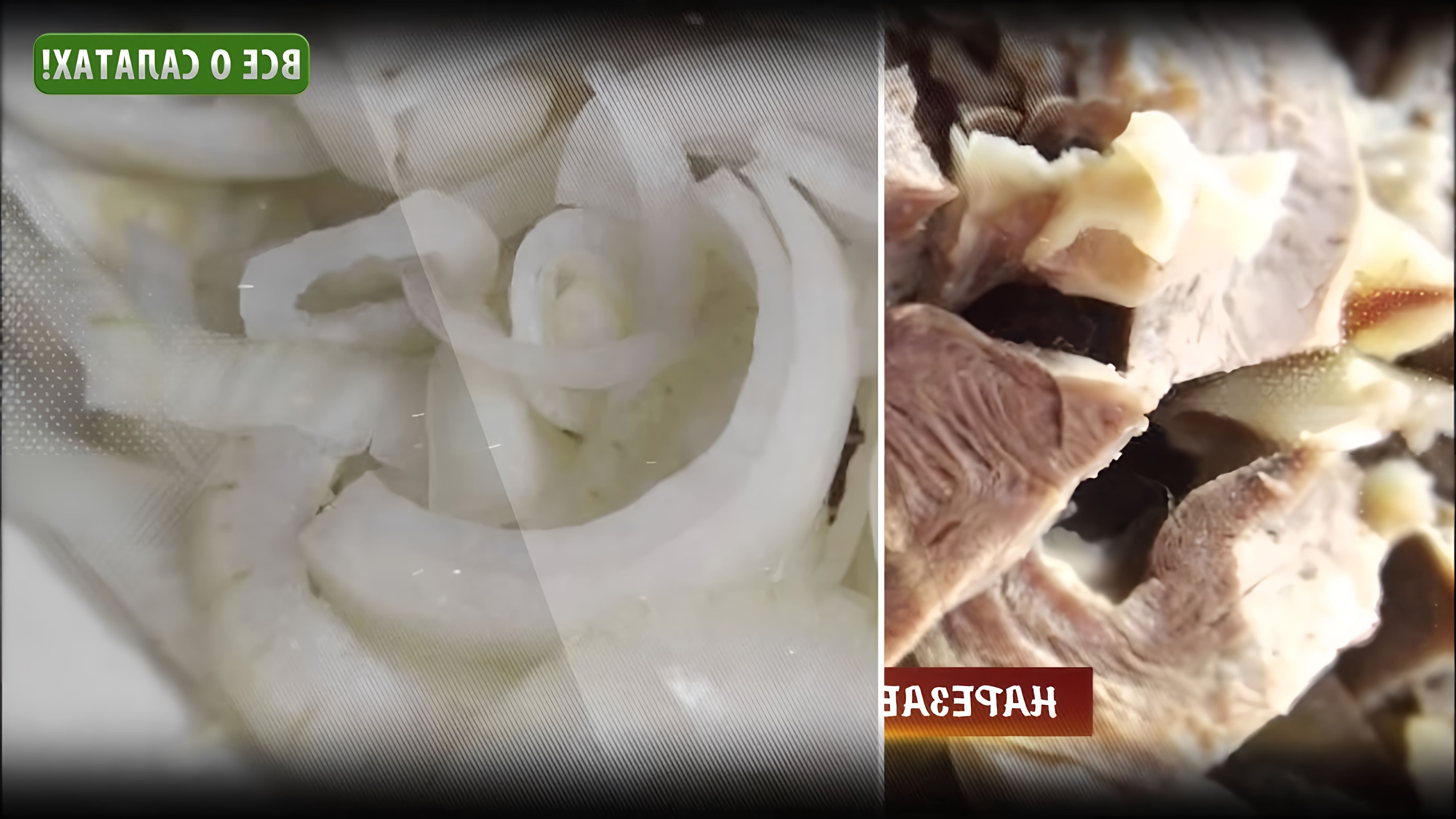 Видео-ролик под названием "Салат из говядины и квашеной капусты" представляет собой рецепт приготовления мясного салата