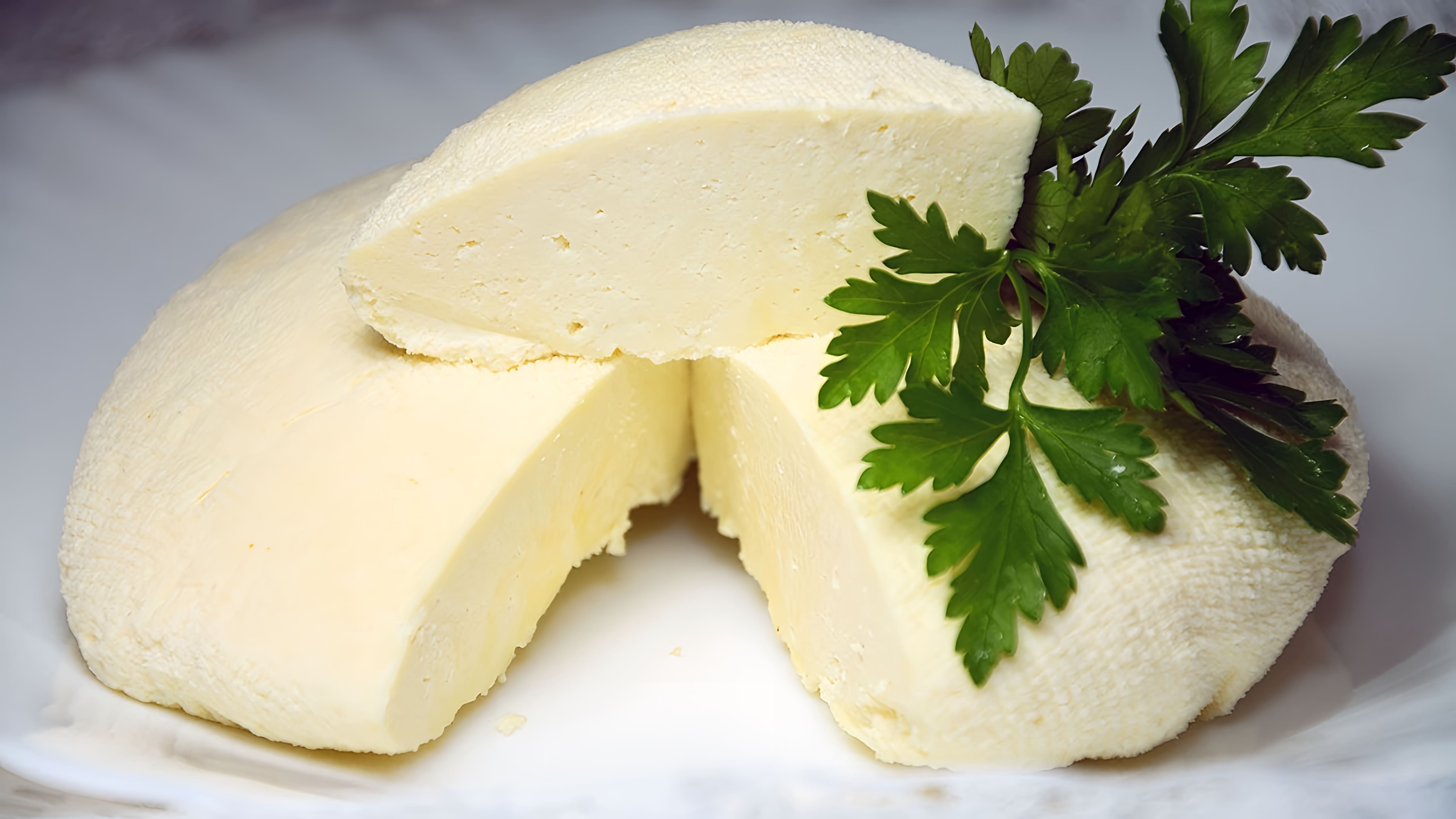В этом видео демонстрируется простой и быстрый рецепт приготовления домашнего сыра из молока