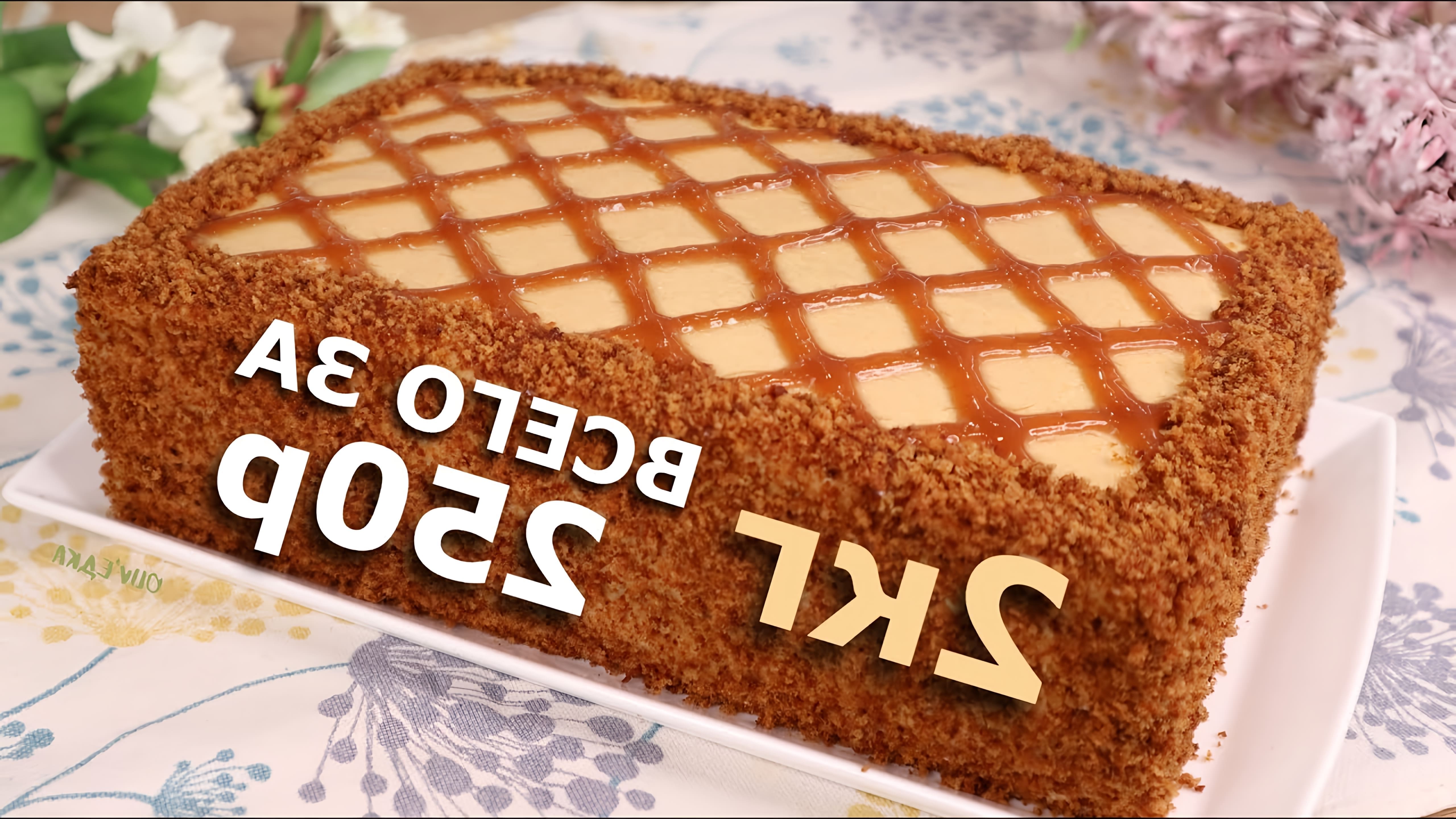Видео как приготовить бюджетный торт за 250 рублей, используя недорогие ингредиенты, такие как яйца, сахар, мед, молоко и мука