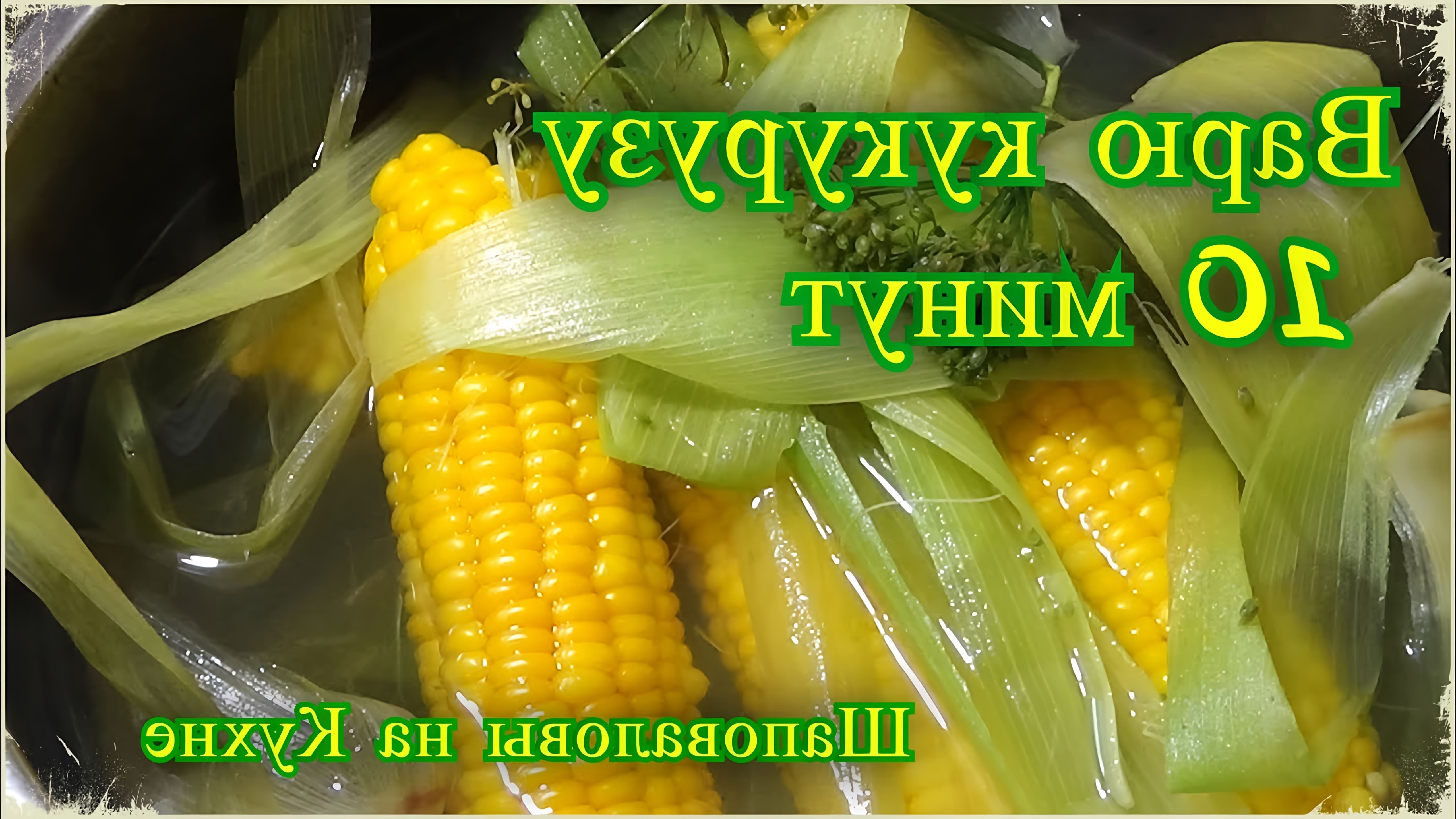 В этом видео демонстрируется быстрый и простой способ приготовления кукурузы