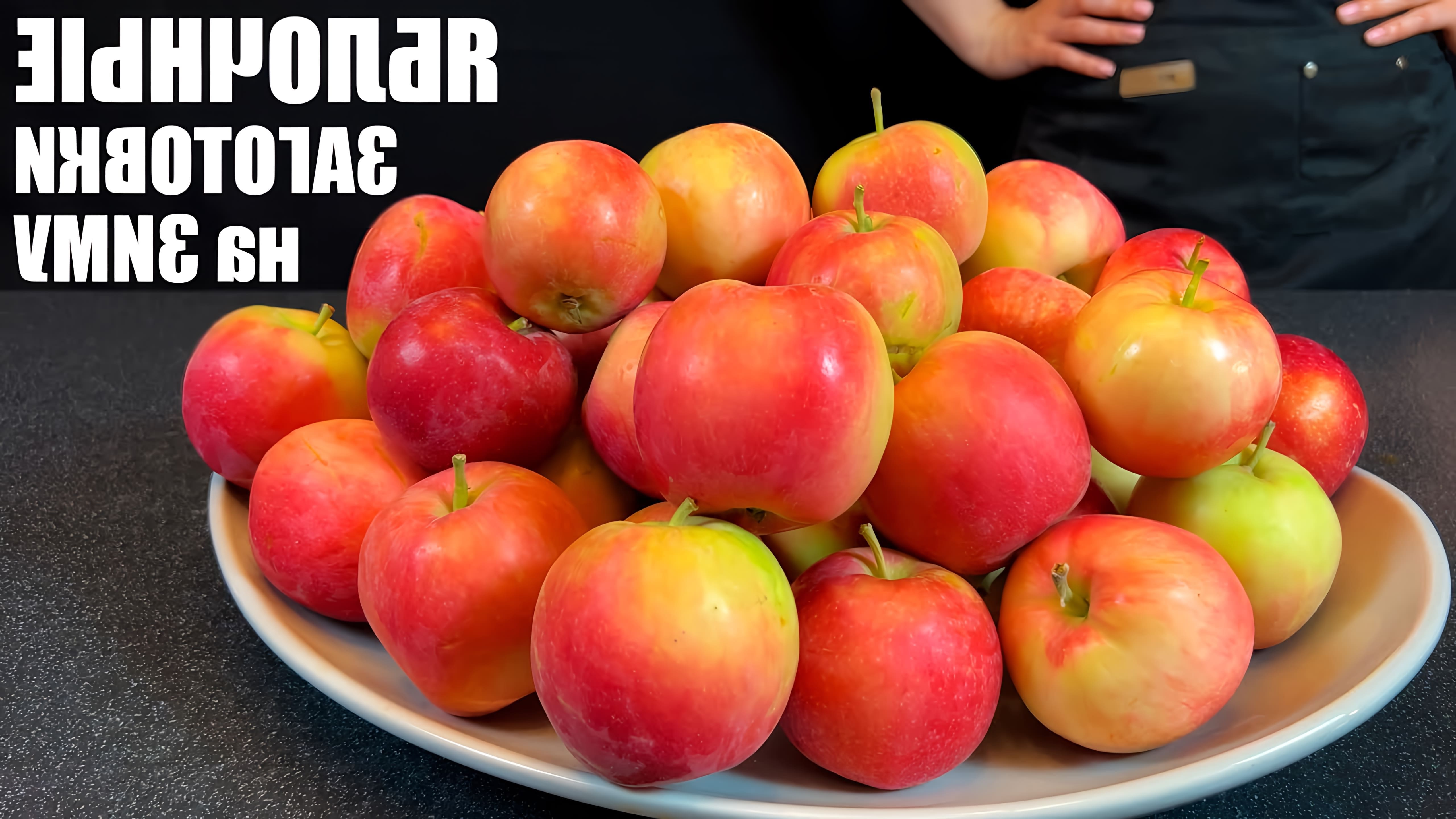 Видео рассматривает несколько рецептов для консервирования яблок на зиму, включая шоколадно-яблочное варенье, яблочные ломтики, славянские яблочные стружки и яблочное пюре