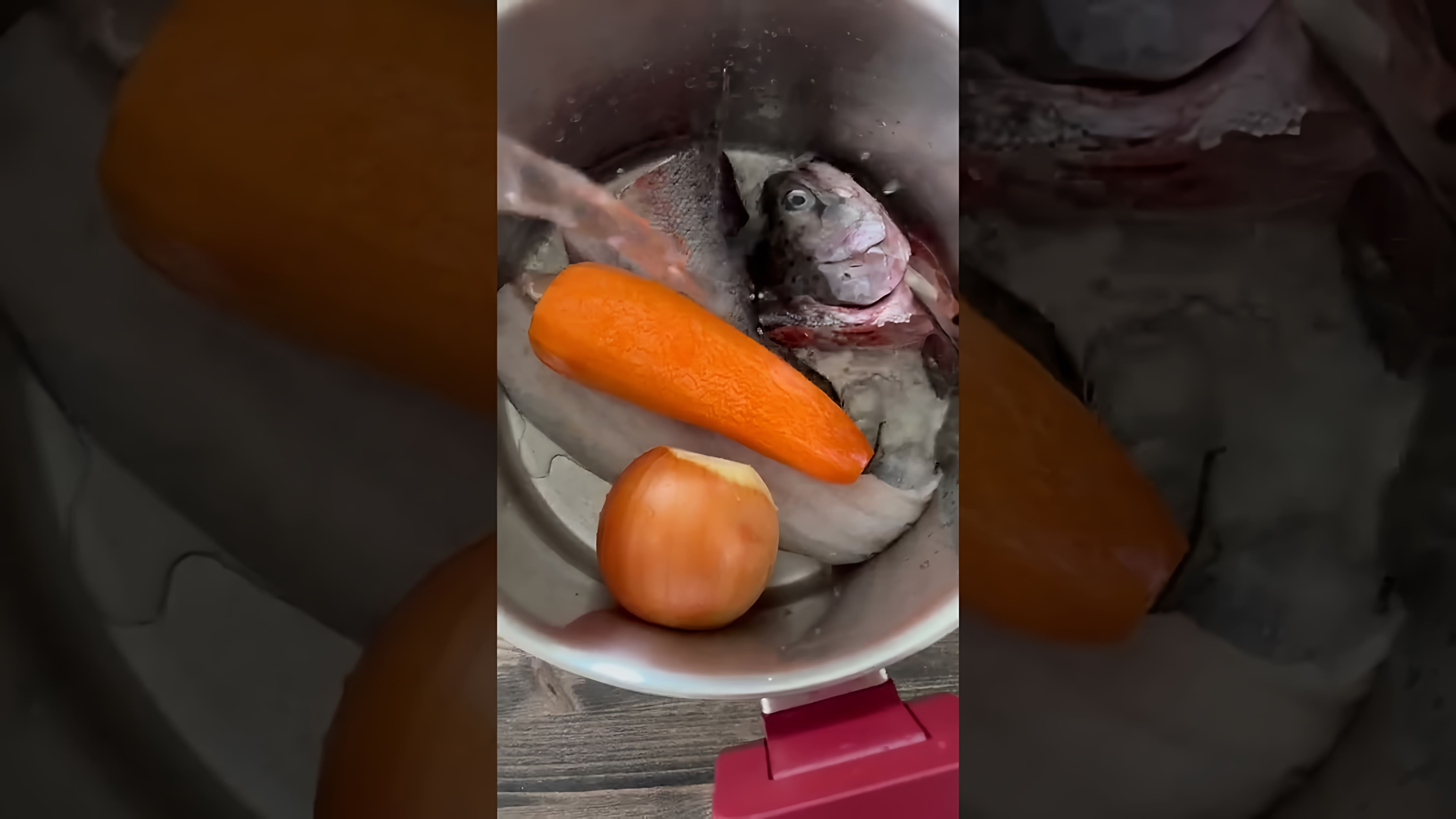 В этом видео демонстрируется процесс приготовления ухи из обрезков рыбы