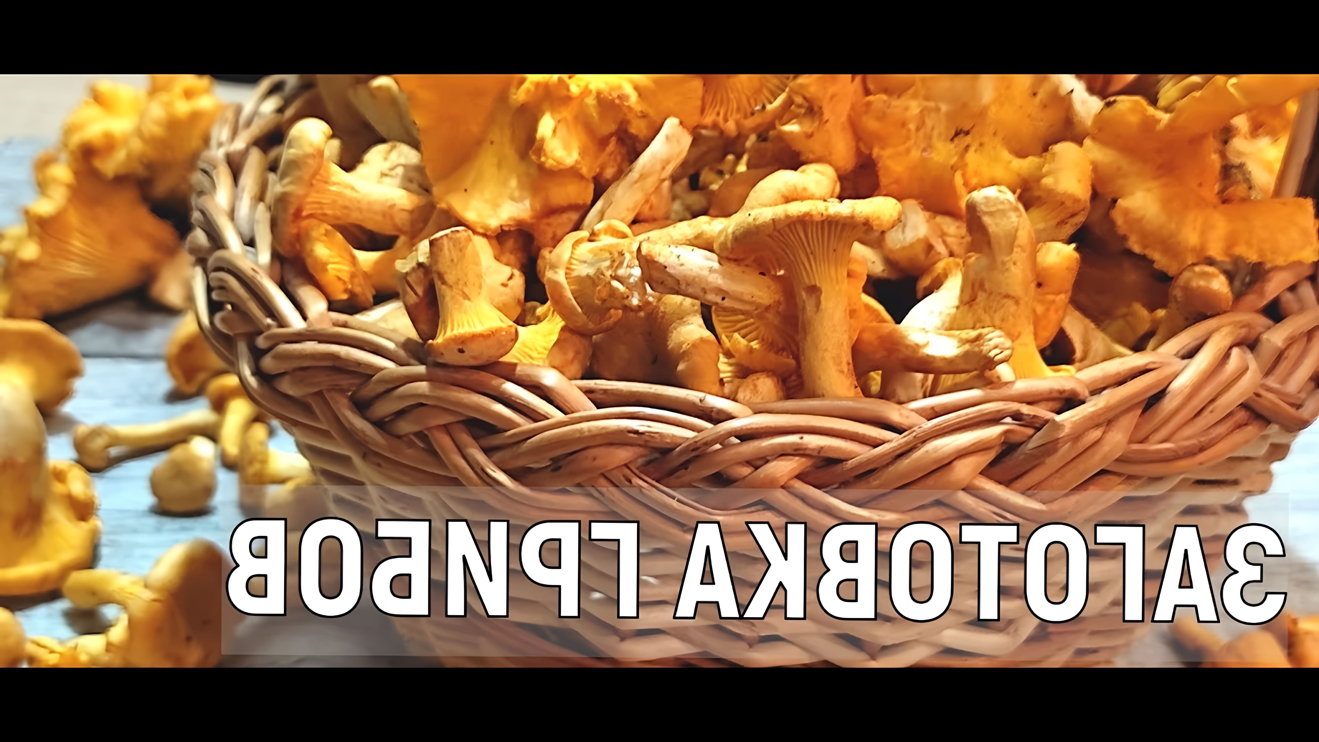 В данном видео рассказывается о рецептах засолки и маринования грибов на зиму