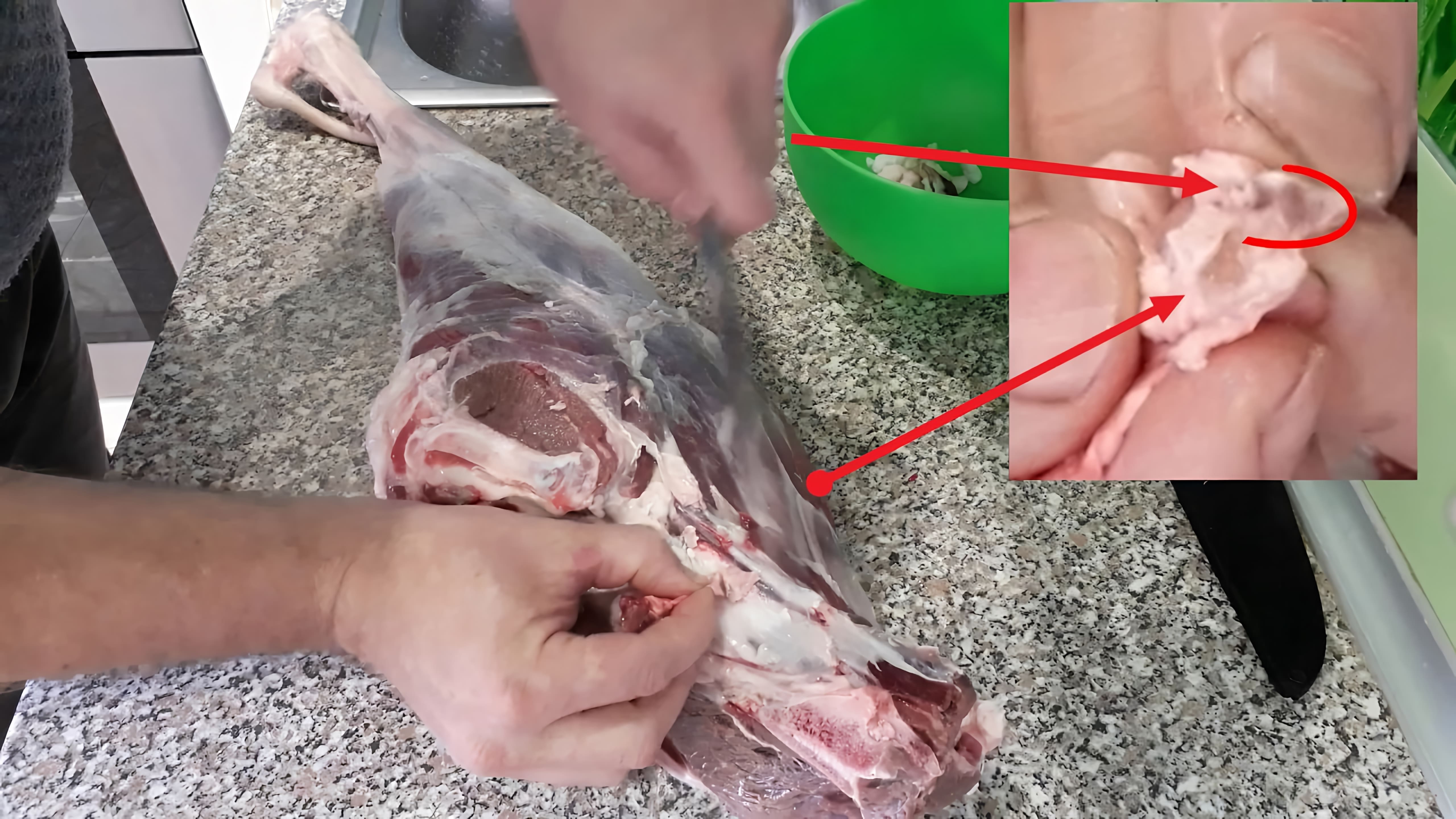 В этом видео демонстрируется процесс подготовки бараньей ноги к приготовлению различных блюд