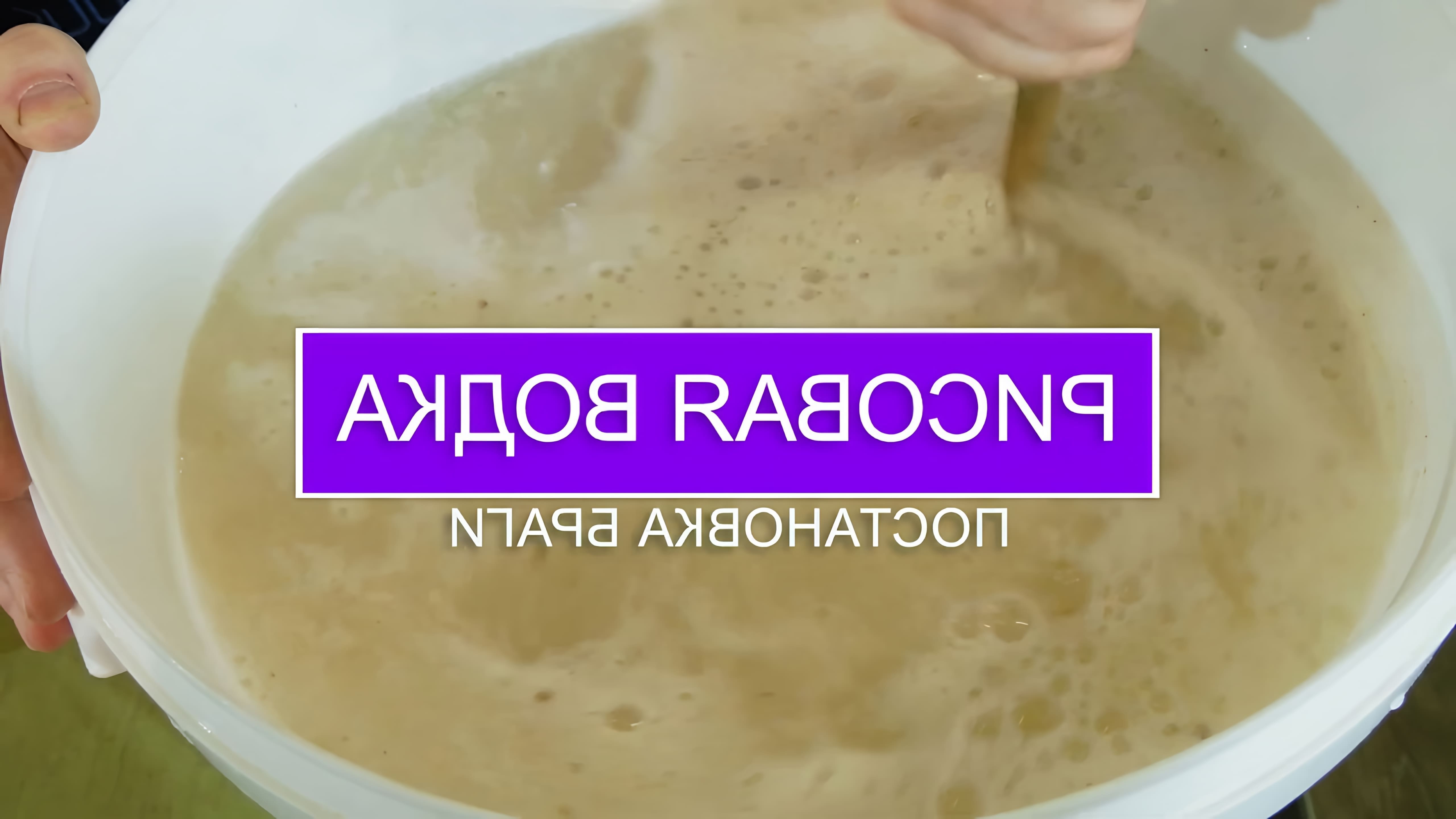 В данном видео демонстрируется процесс приготовления рисовой водки с использованием дрожжей Кодзи