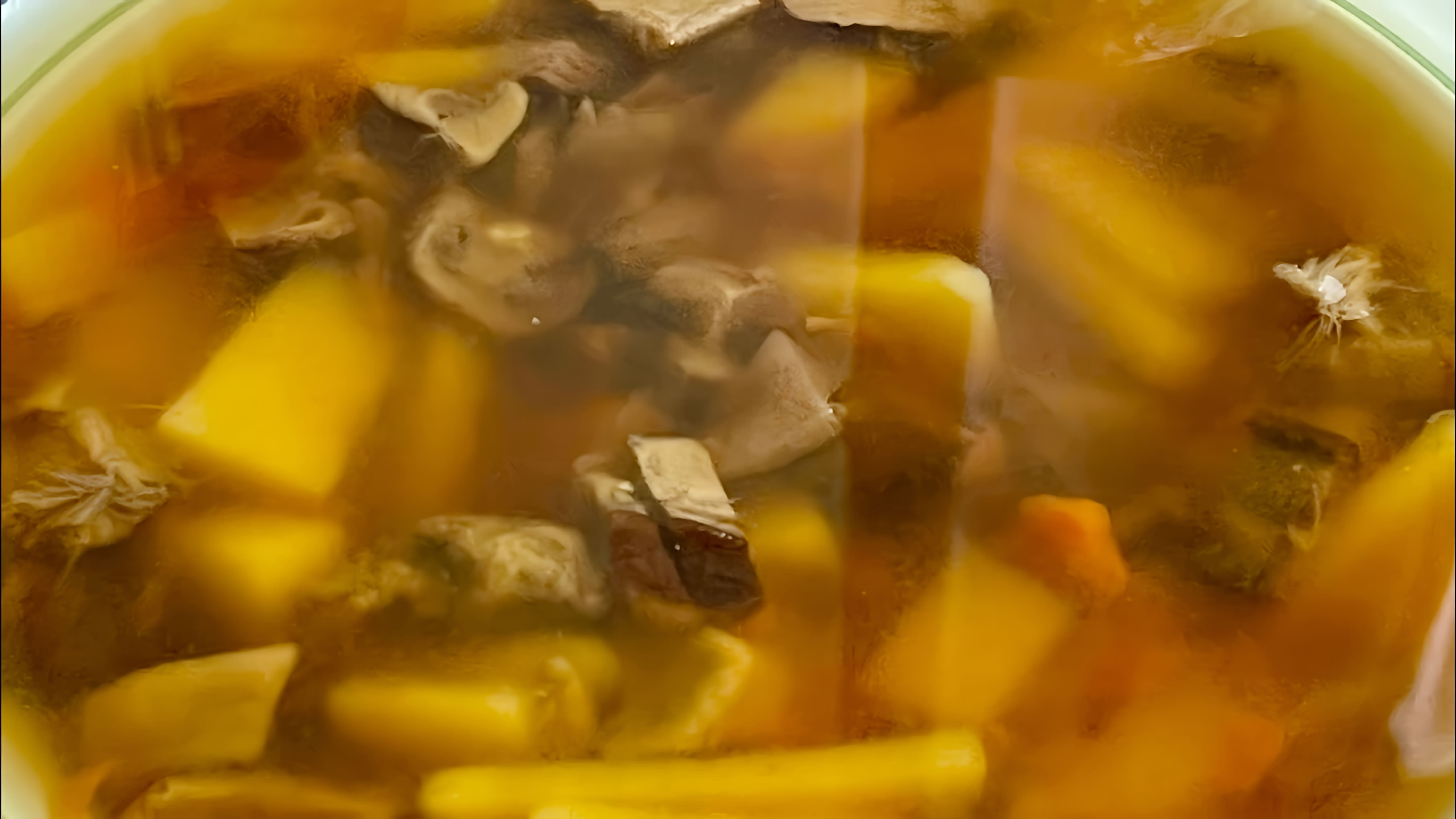 В данном видео демонстрируется процесс приготовления грибного супа из сушеных грибов