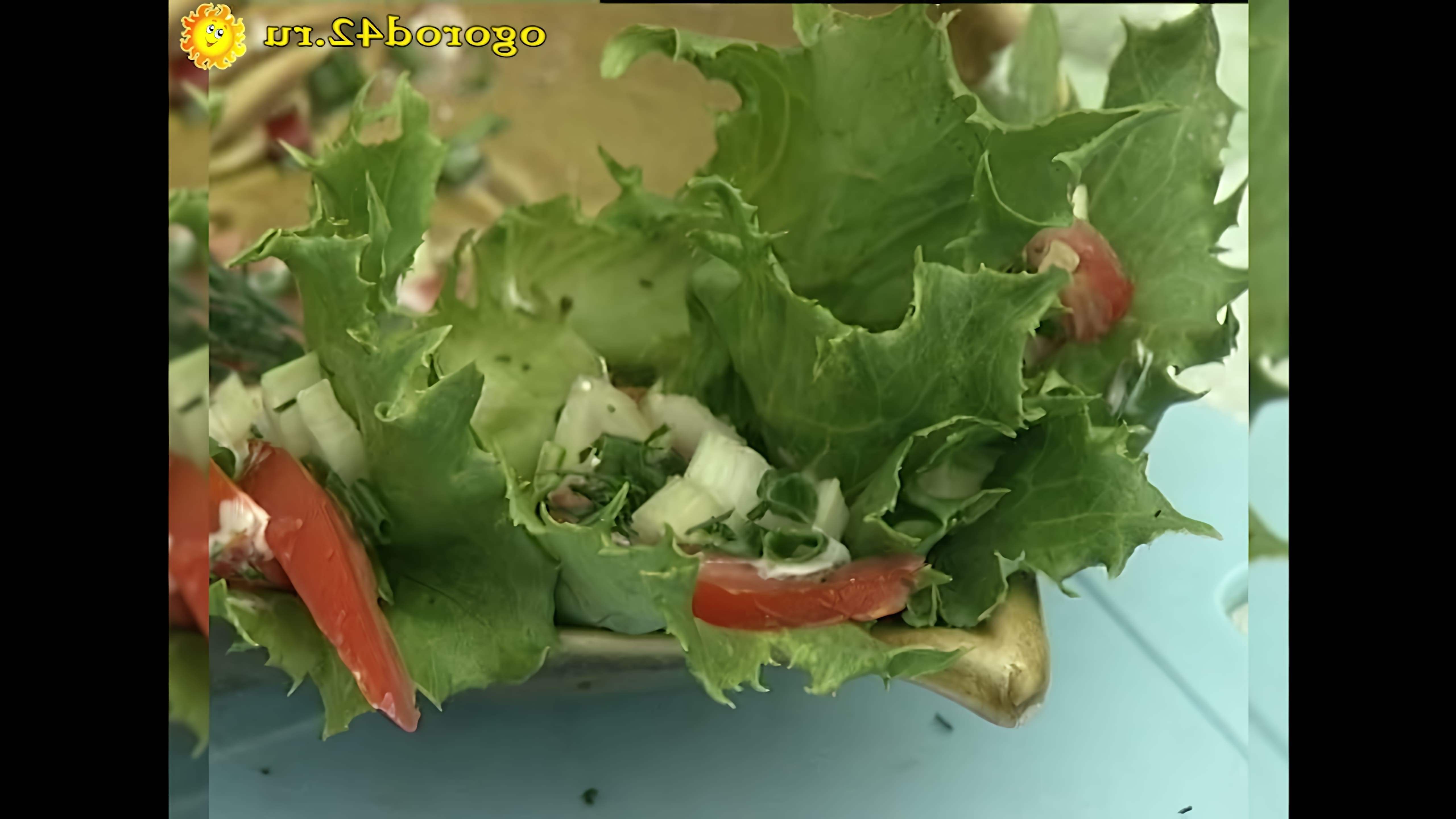 В этом видео дачник рассказывает о своем опыте выращивания и приготовления салата из листовой свеклы Мангольд