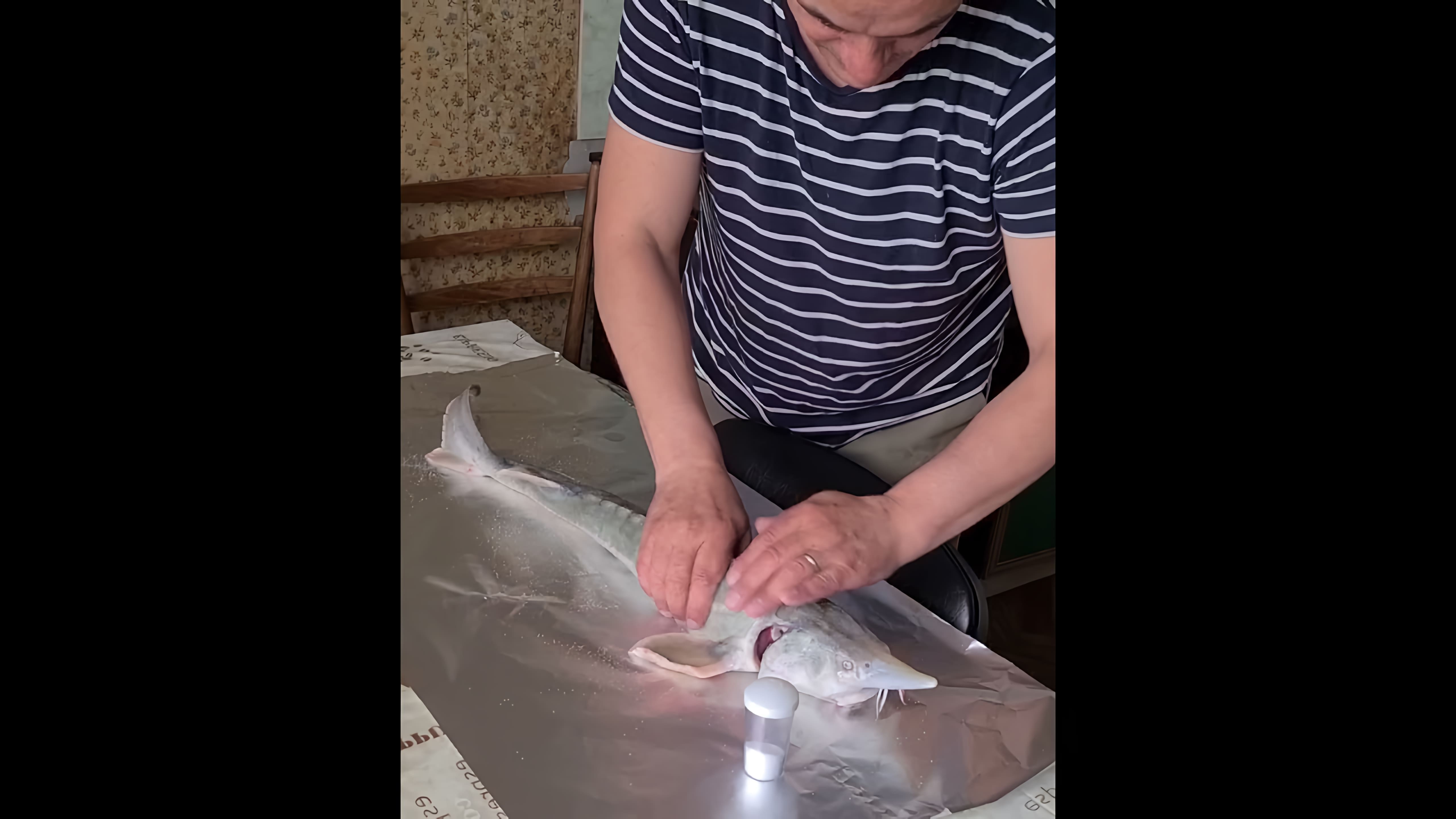 В этом видео-ролике муж готовит стерлядь, используя рецепт от мужа, как приготовить рыбу в духовке