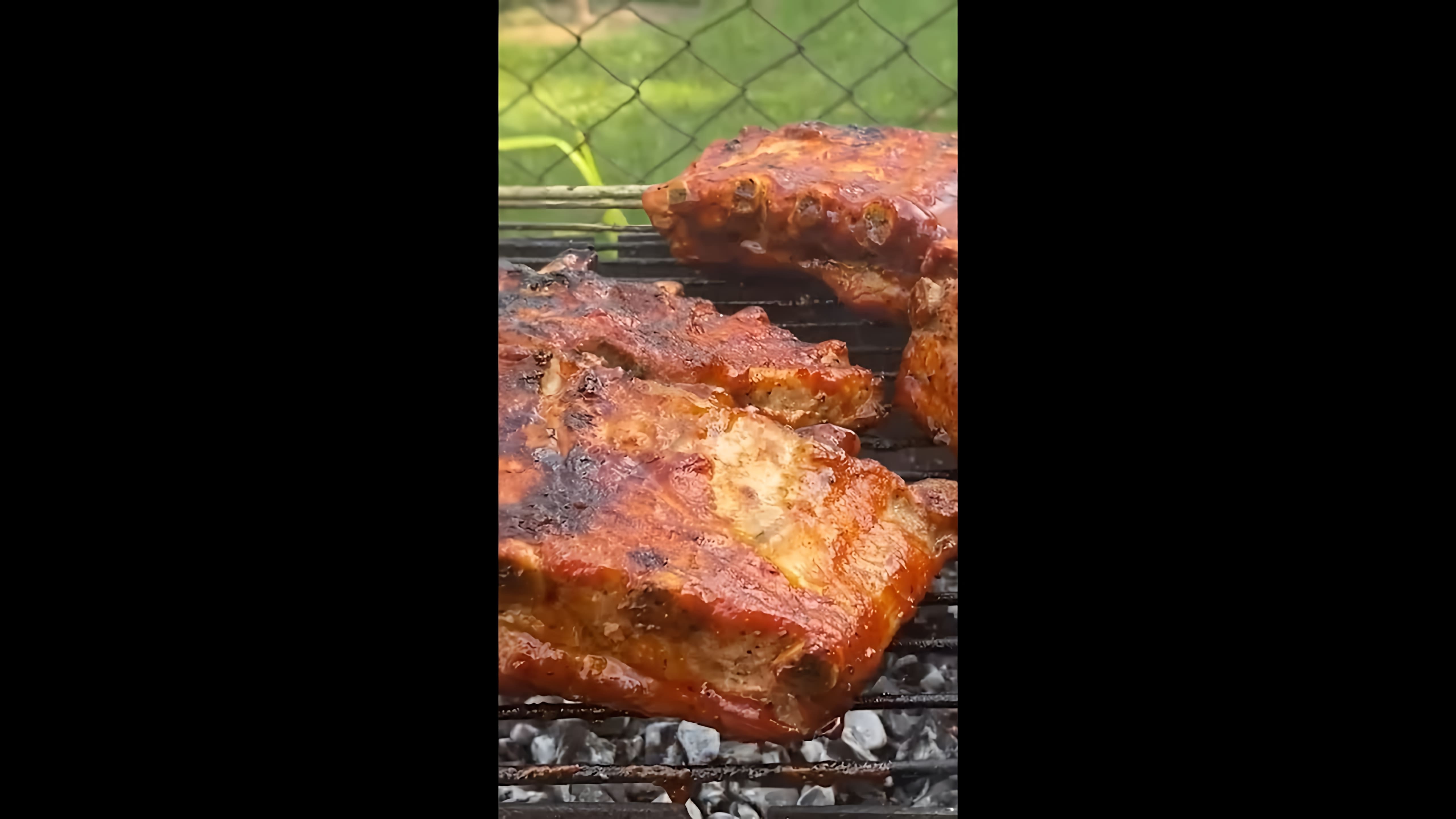 В этом видео-ролике вы увидите, как приготовить свиные ребрышки на мангале, которые станут отличной заменой шашлыку