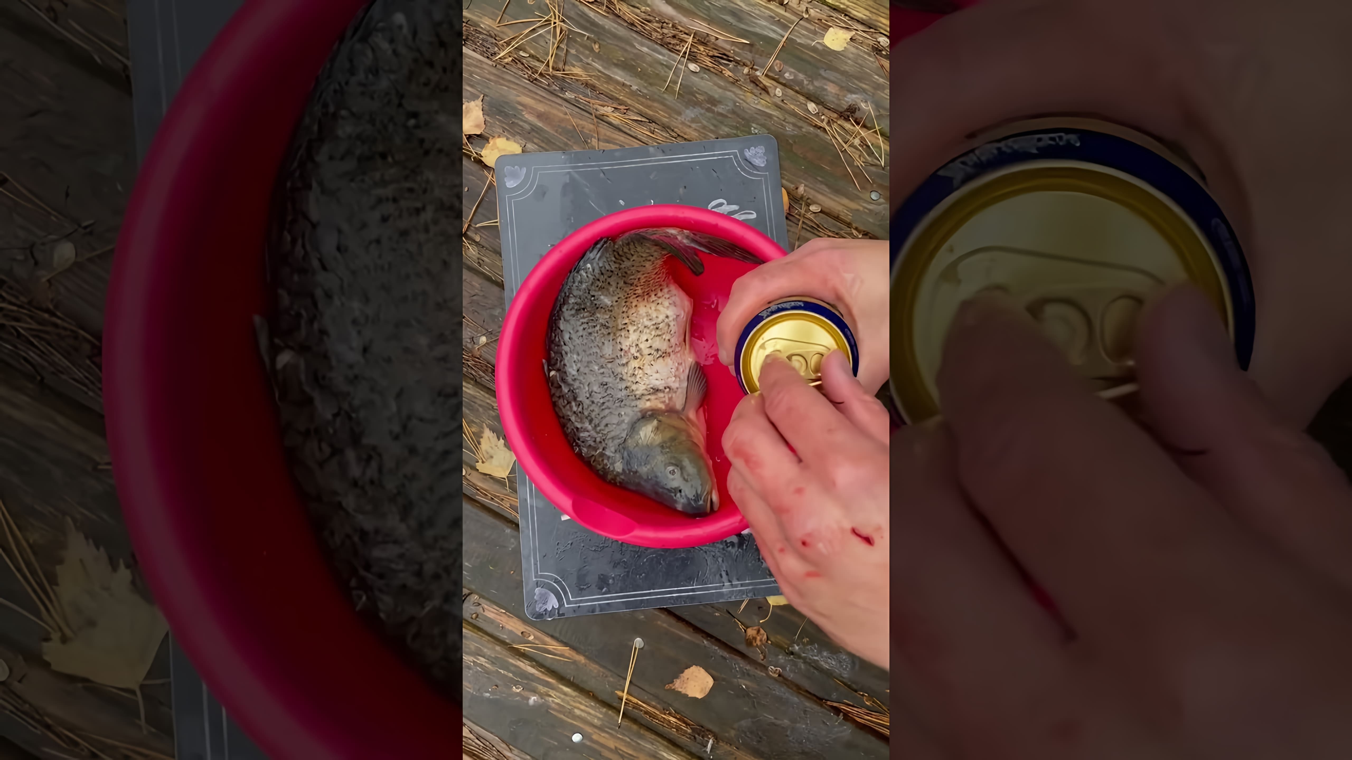 В этом видео-ролике рассказывается о том, как приготовить карпа на мангале