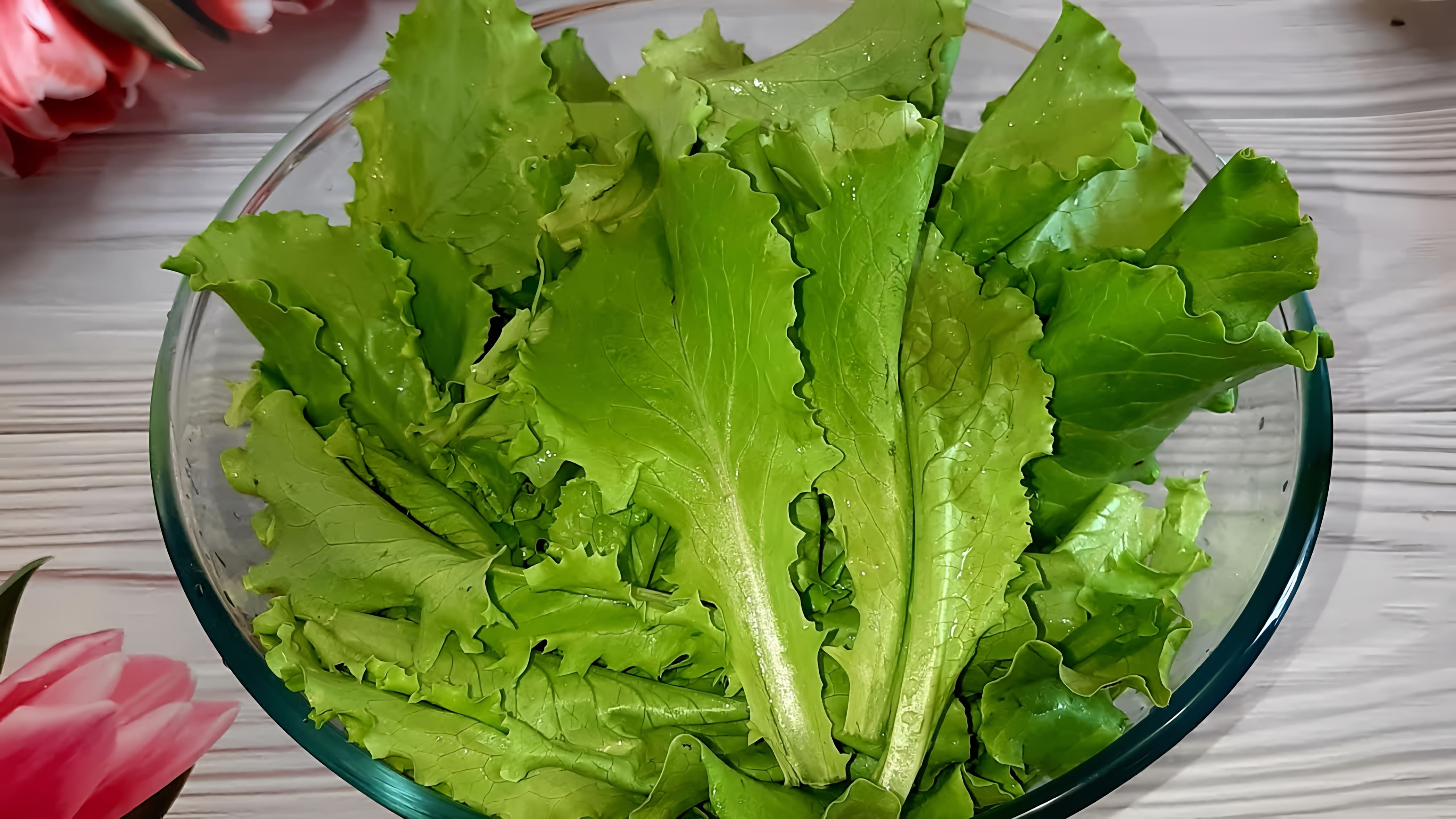 В этом видео-ролике вы увидите, как правильно заморозить салат на зиму