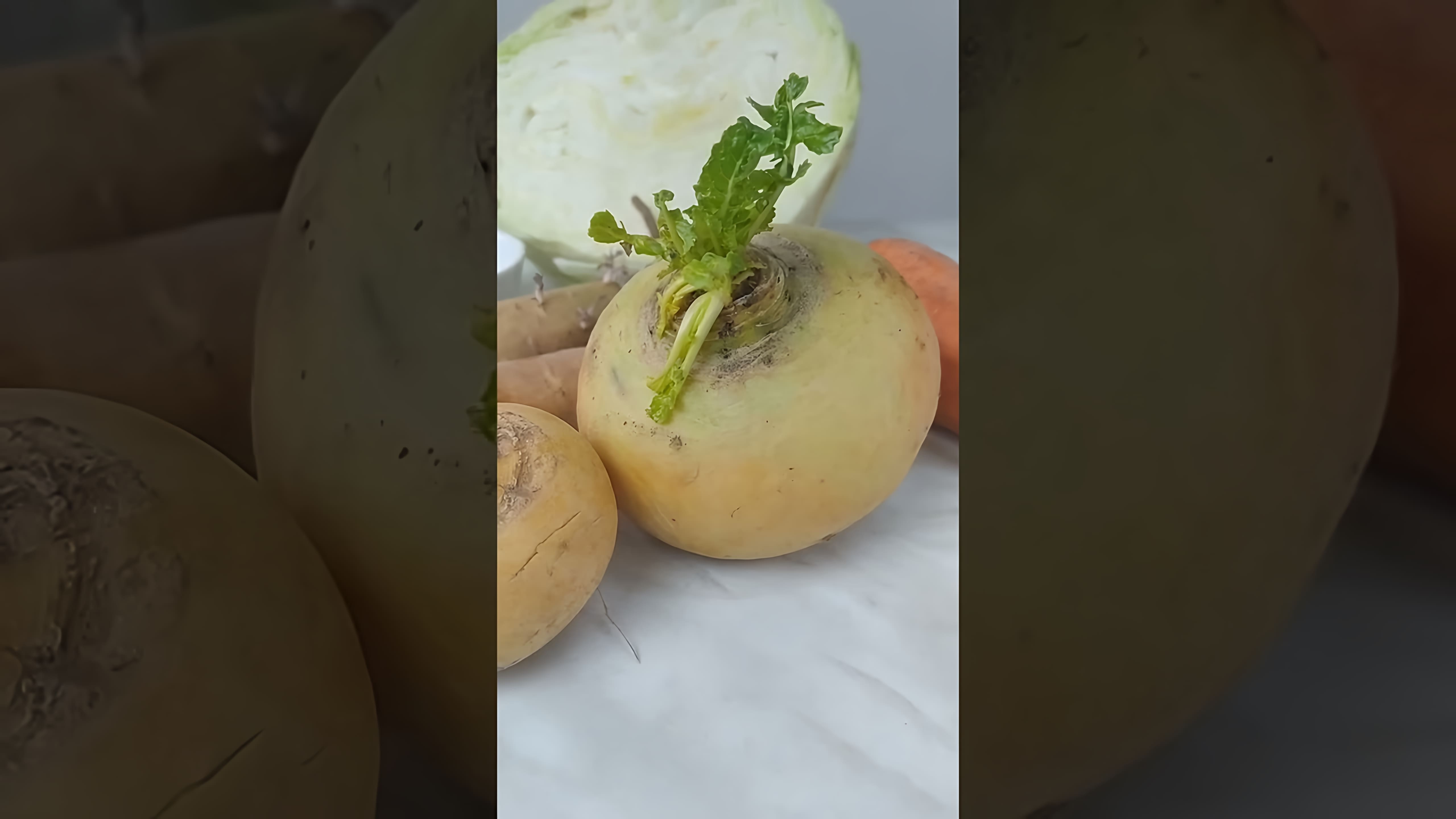 В этом видео демонстрируется процесс приготовления ферментированной репы и репы квашенной с капустой и морковью