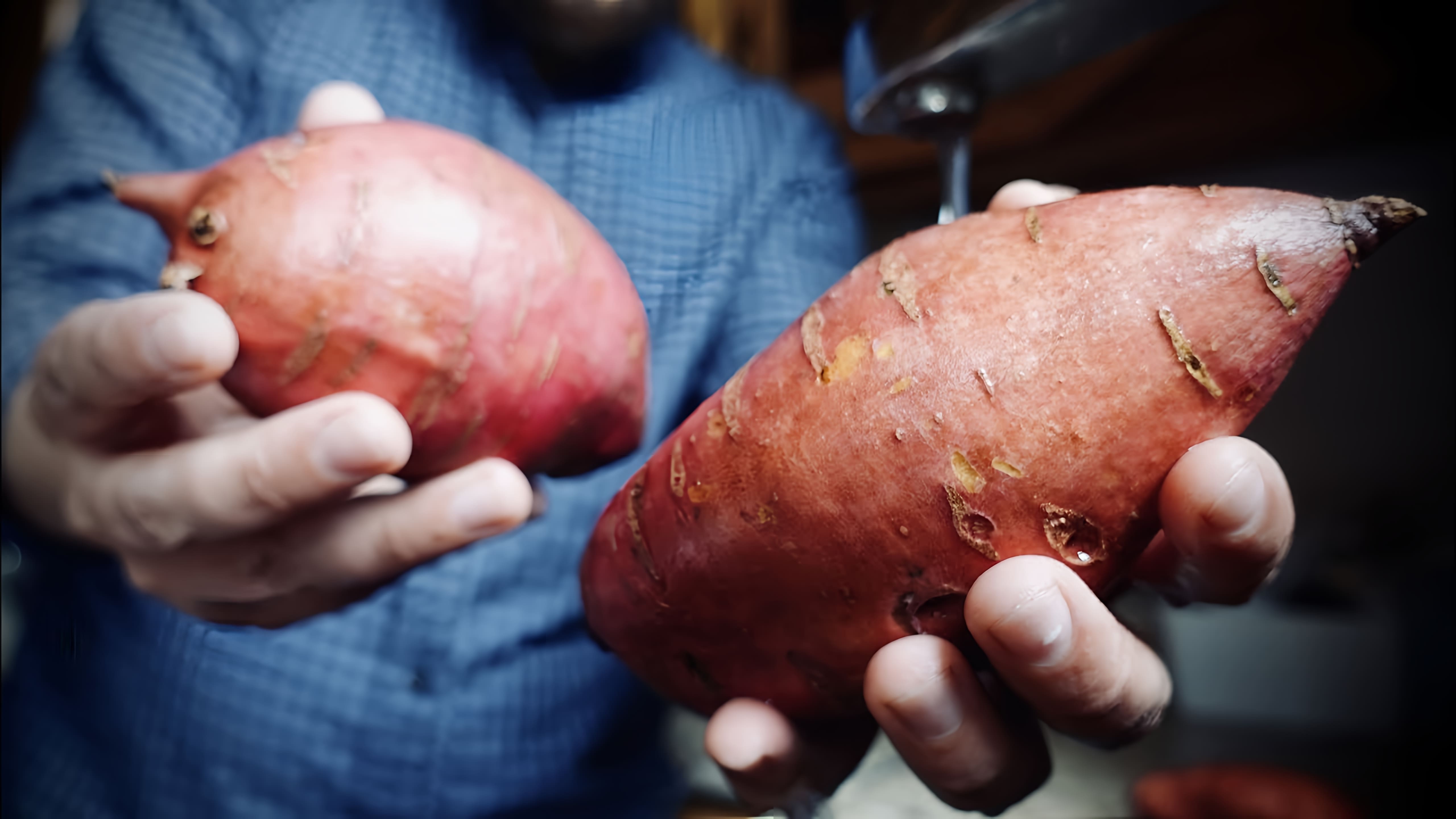 В этом видео Михаил Иган рассказывает о батате, также известном как сладкий картофель