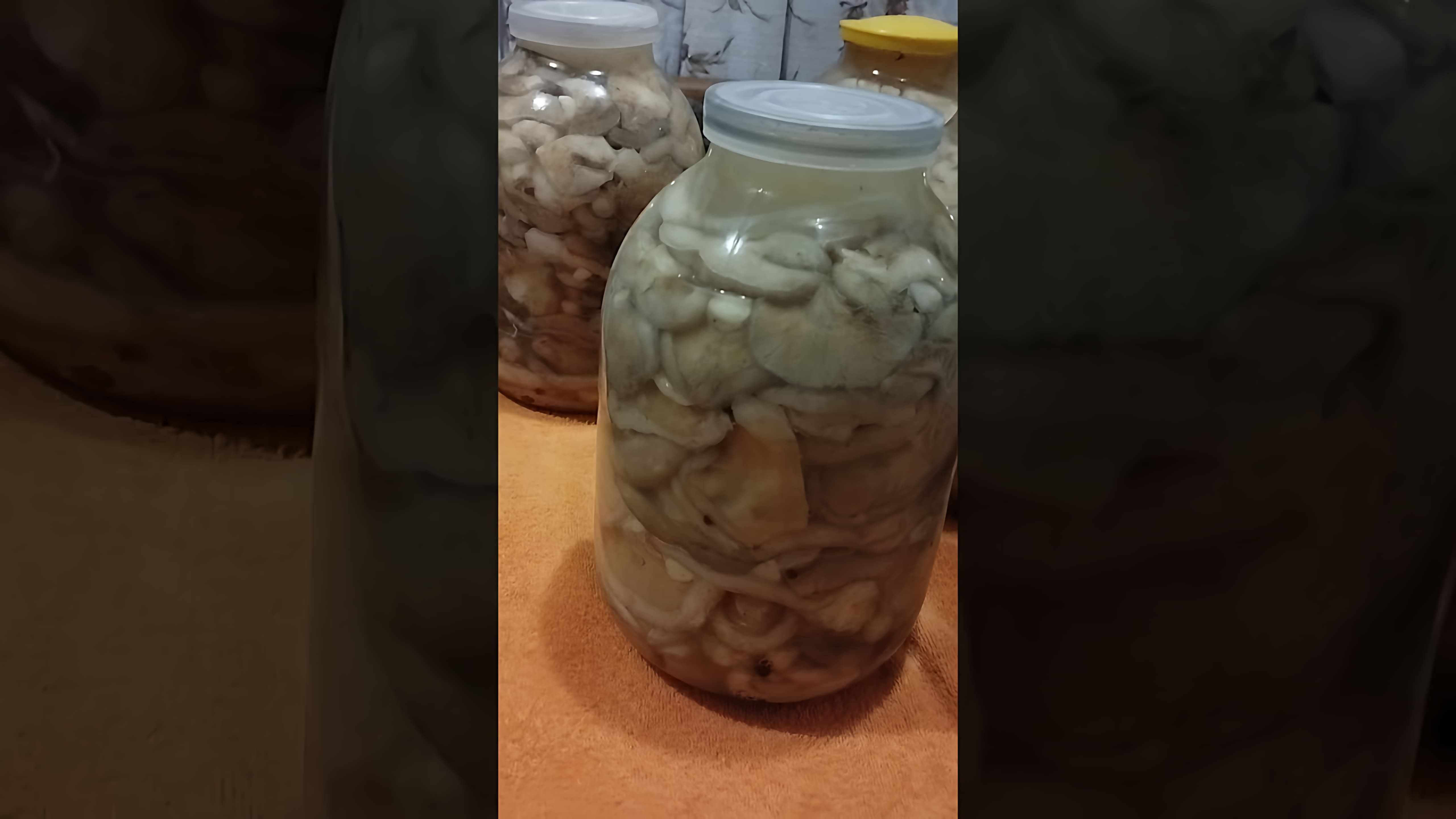 В этом видео демонстрируется процесс посола грибов холодным способом