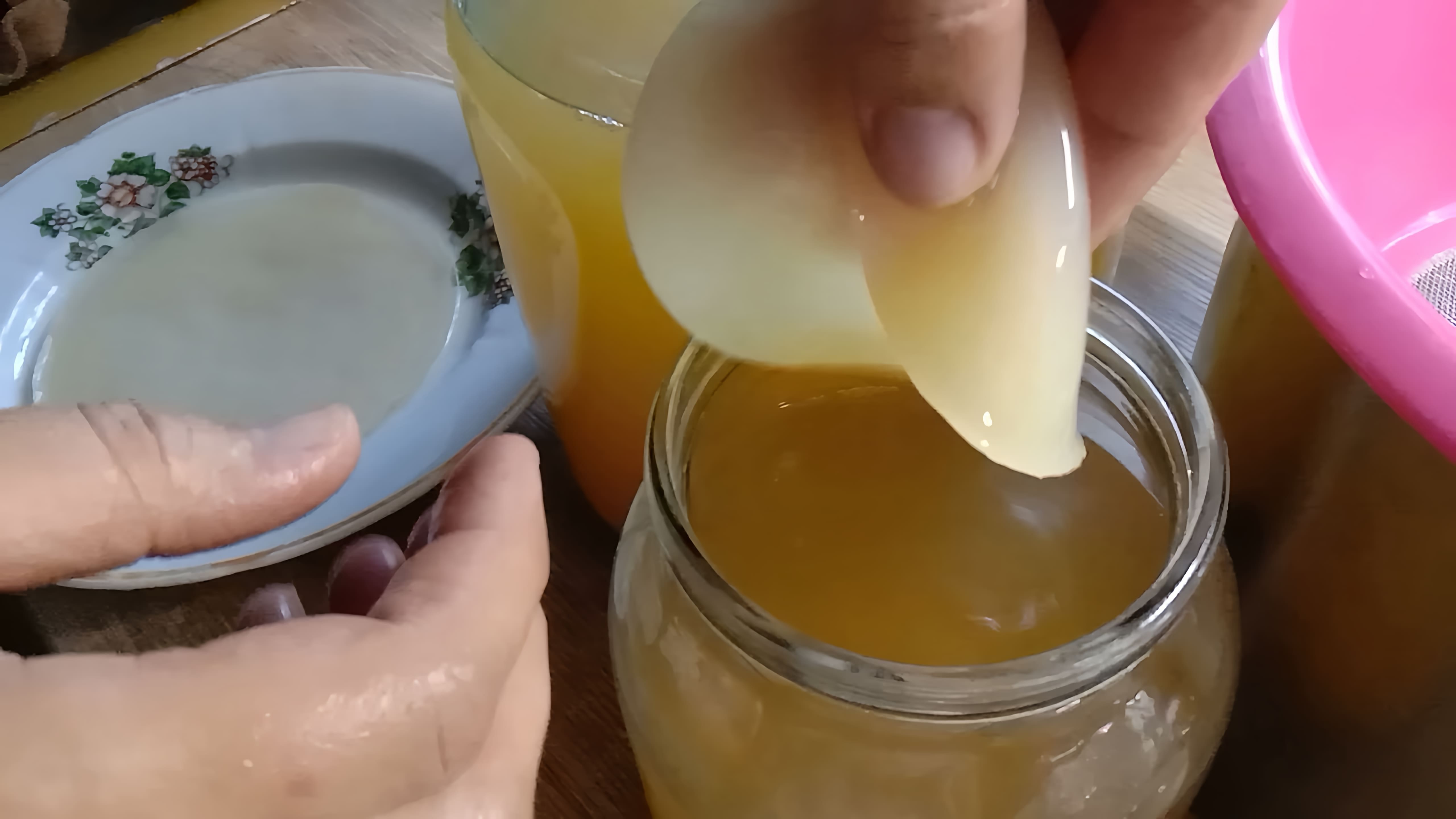 В данном видео демонстрируется процесс приготовления яблочного уксуса с использованием уксусной матки