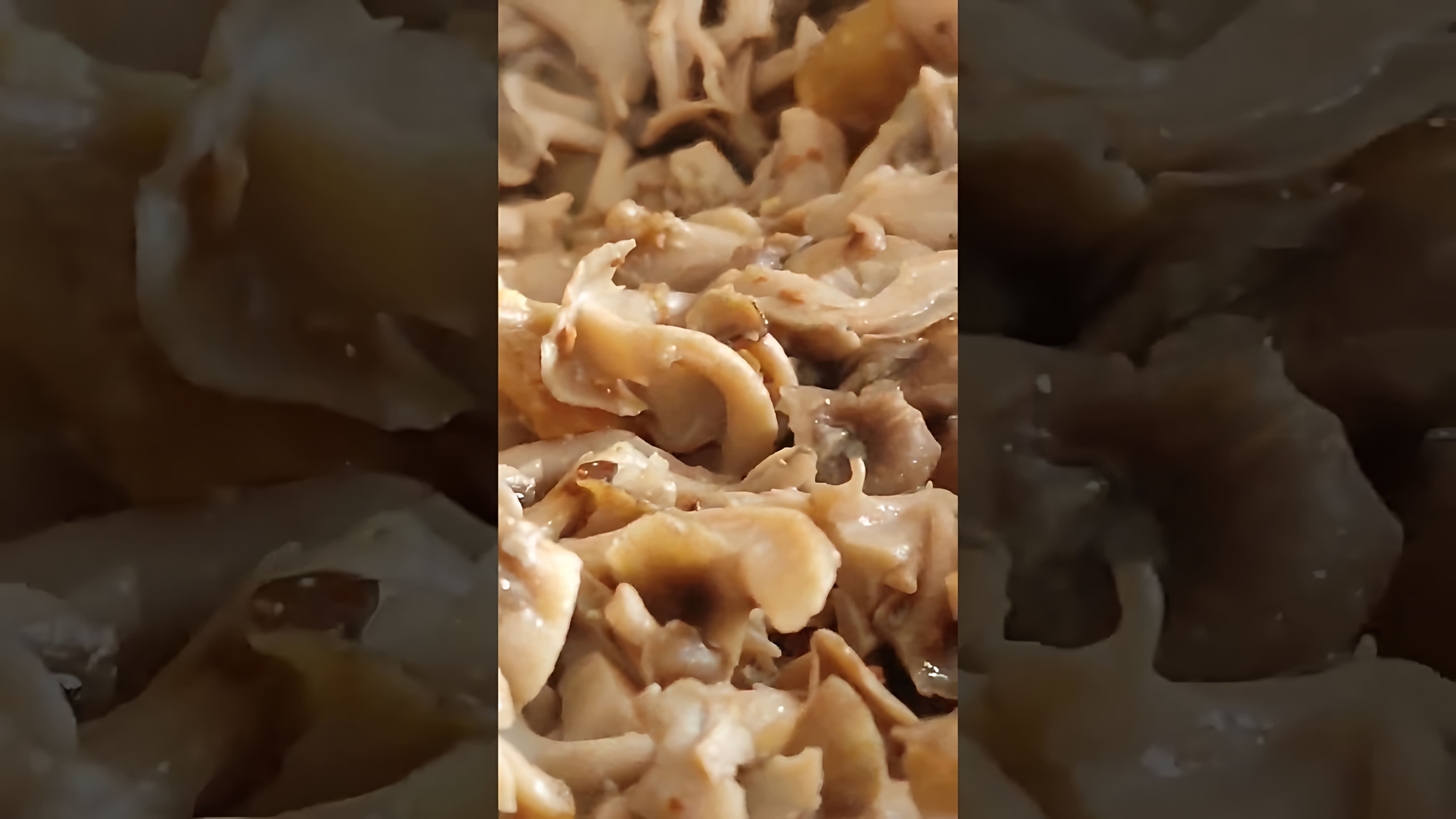 В этом видео-ролике будет показан рецепт приготовления грибного блюда, который можно найти в первом комментарии
